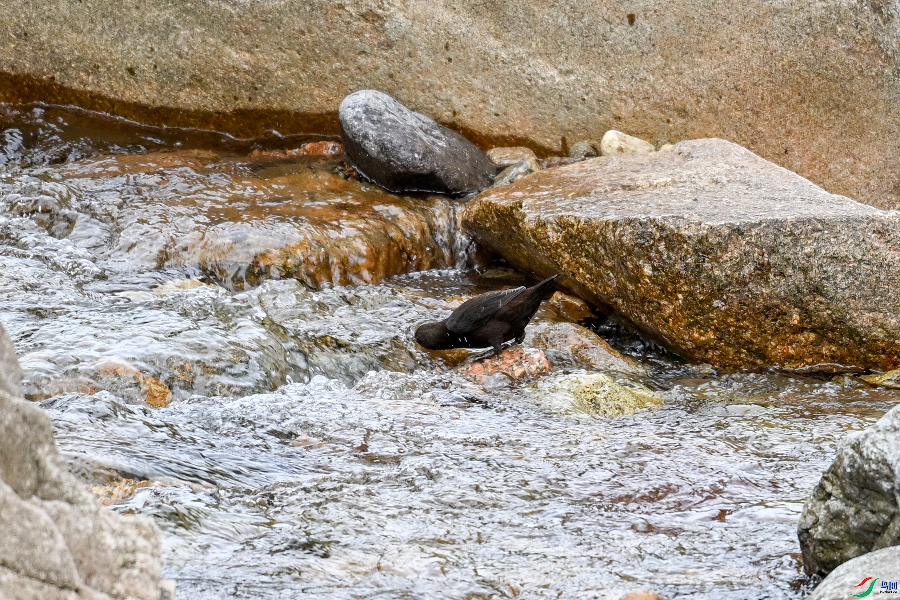 DSC_3488.JPG
