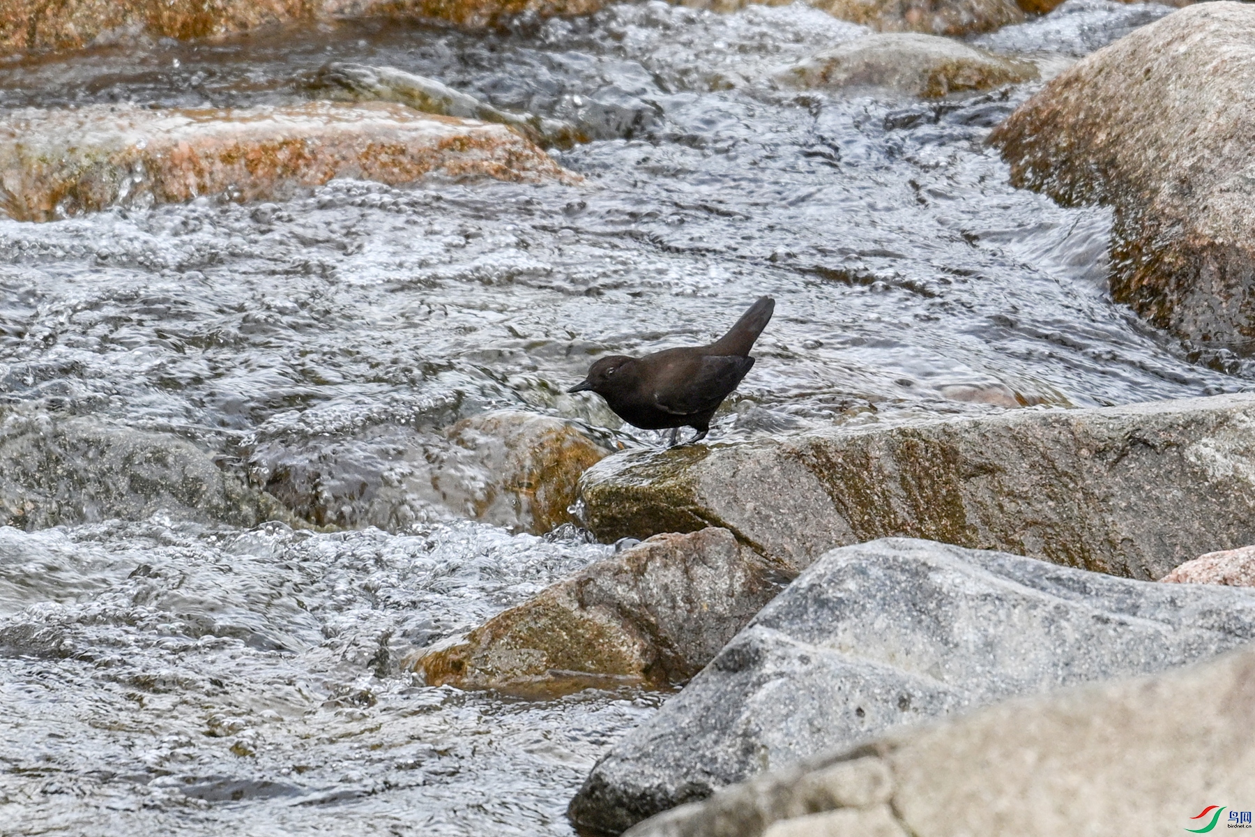 DSC_3502.JPG
