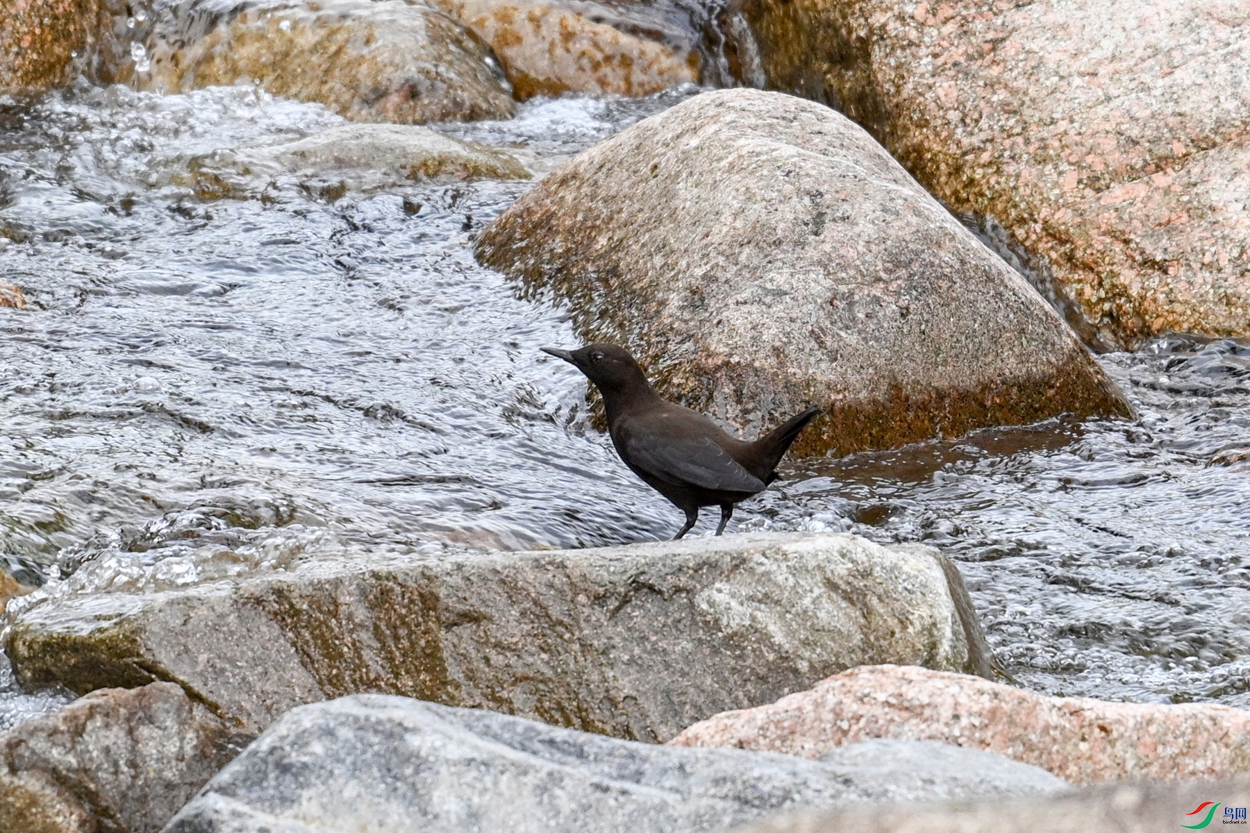 DSC_3498.JPG
