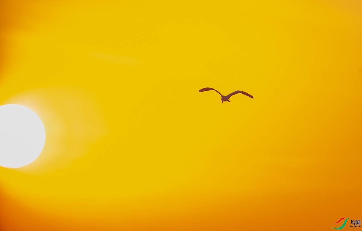 20260402 (566).jpg