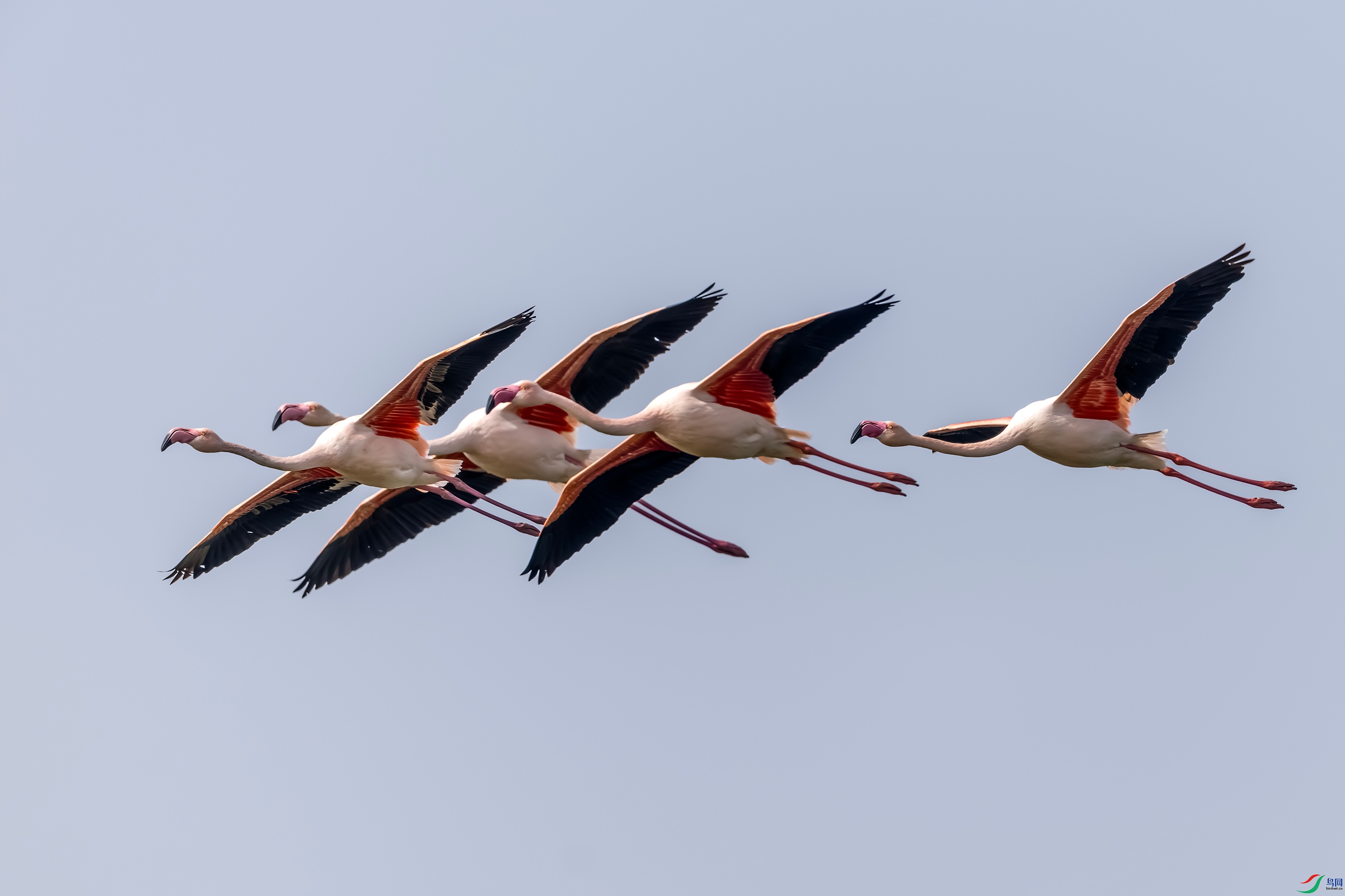 IMG_5663 ����.jpg