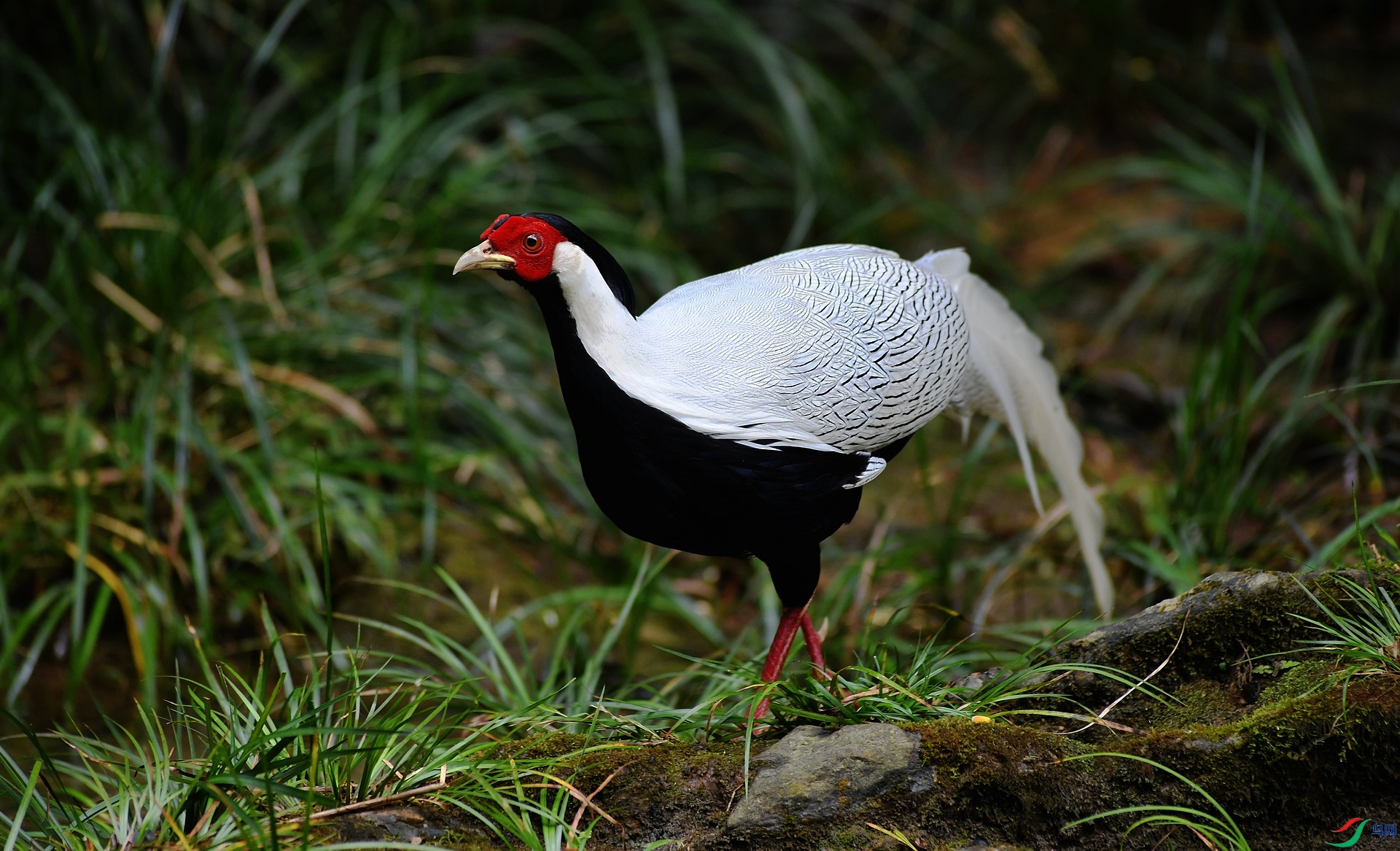 DSC_1049.jpg