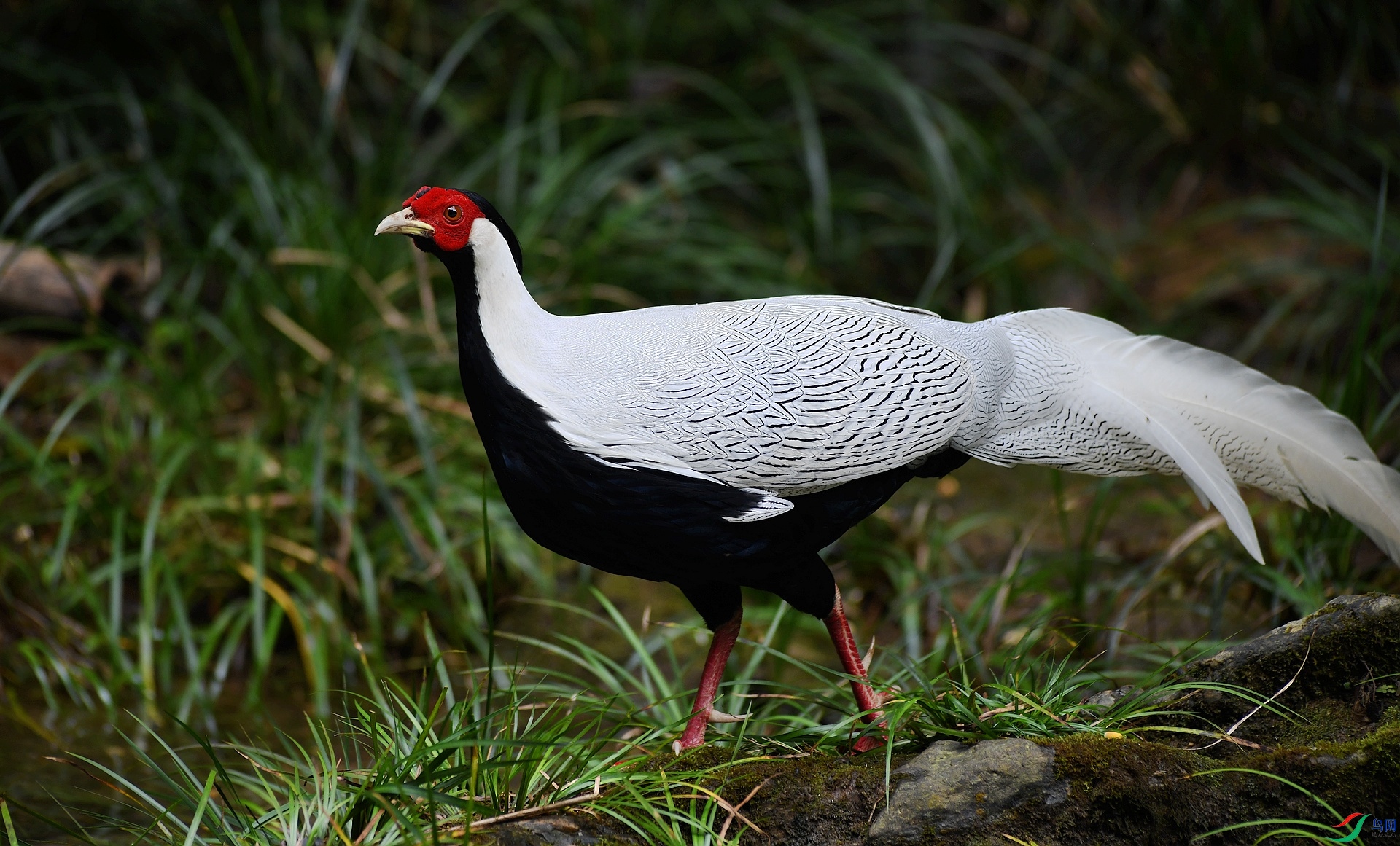 DSC_1052.jpg