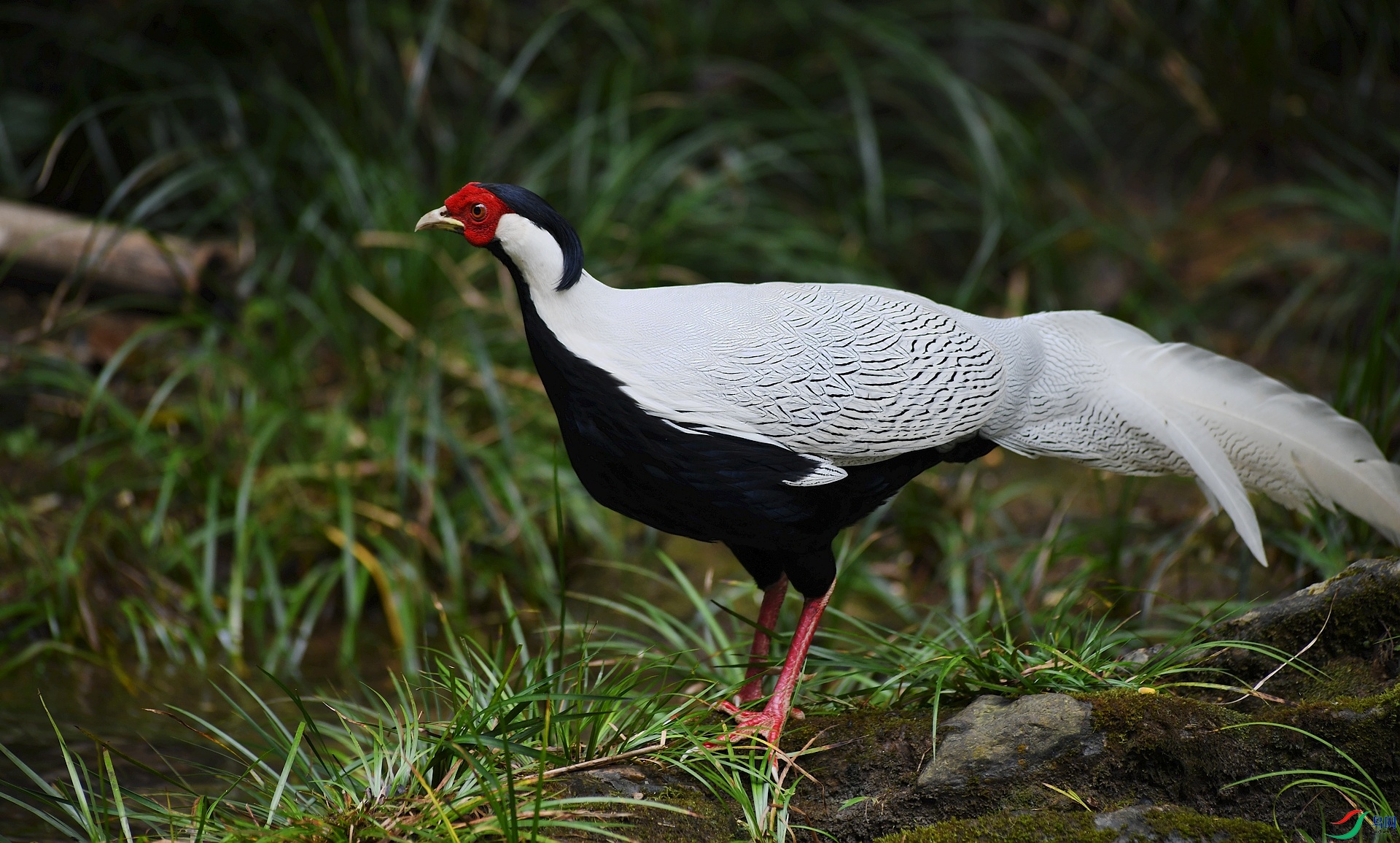 DSC_1054.jpg
