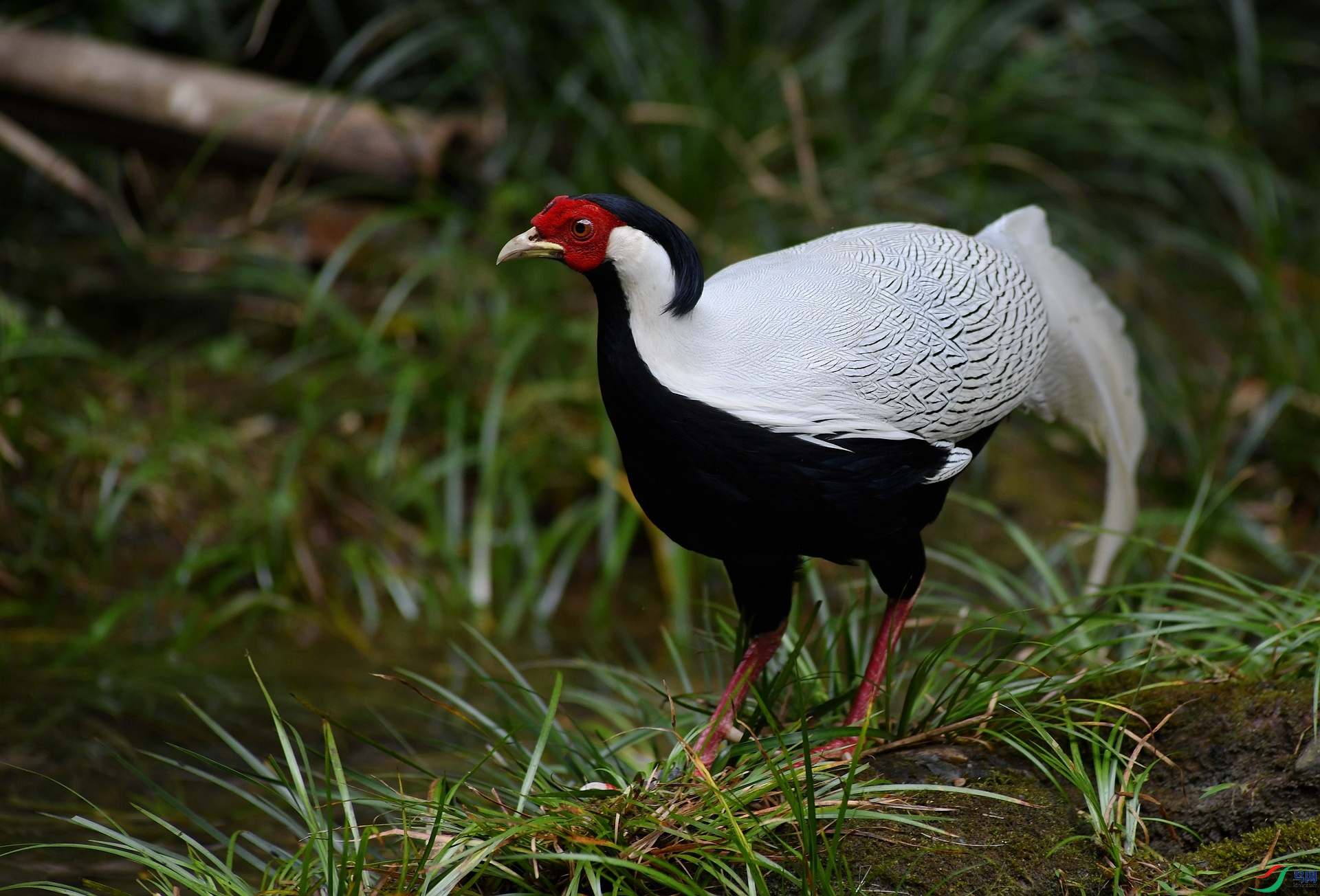 DSC_1058.jpg