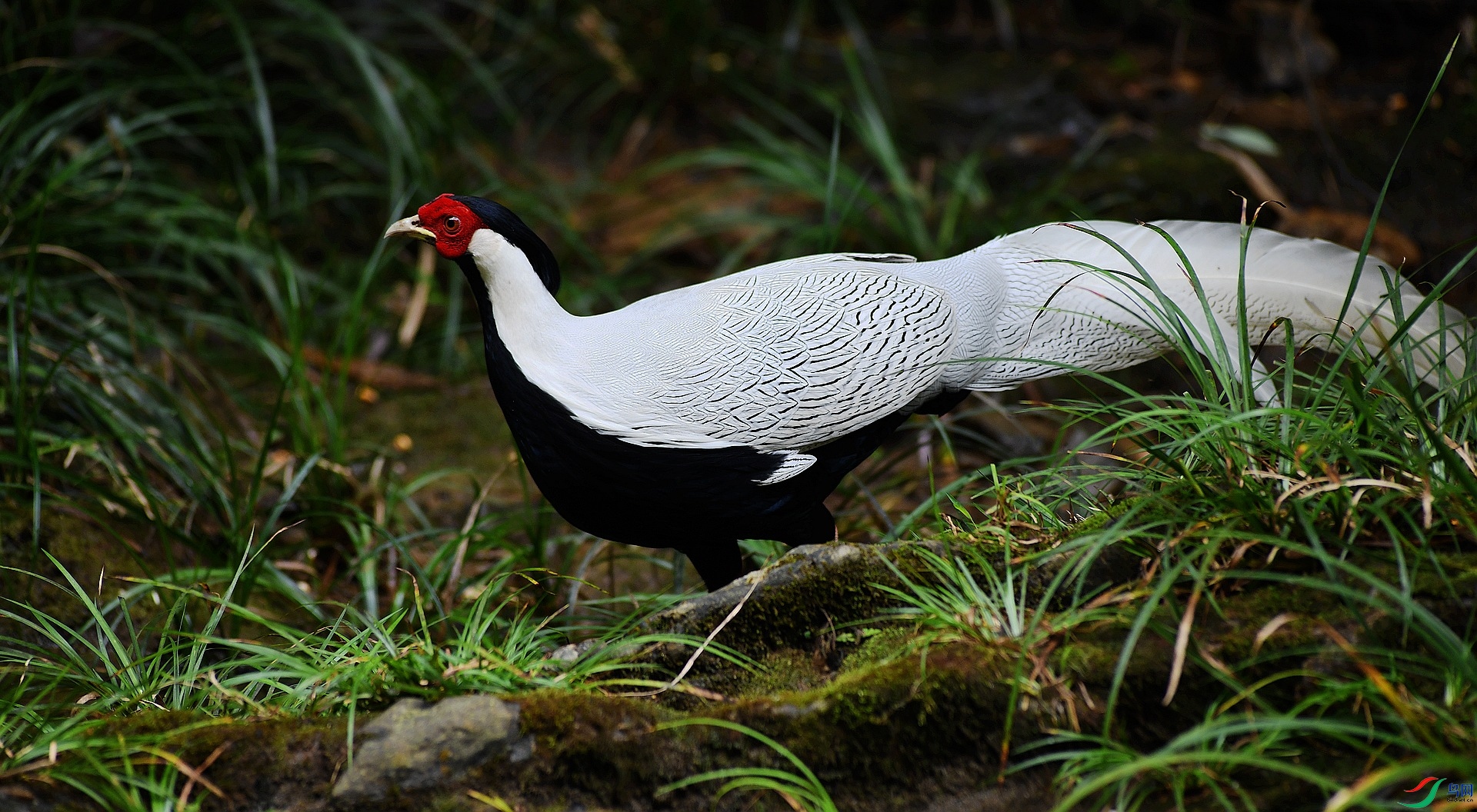 DSC_1041.jpg