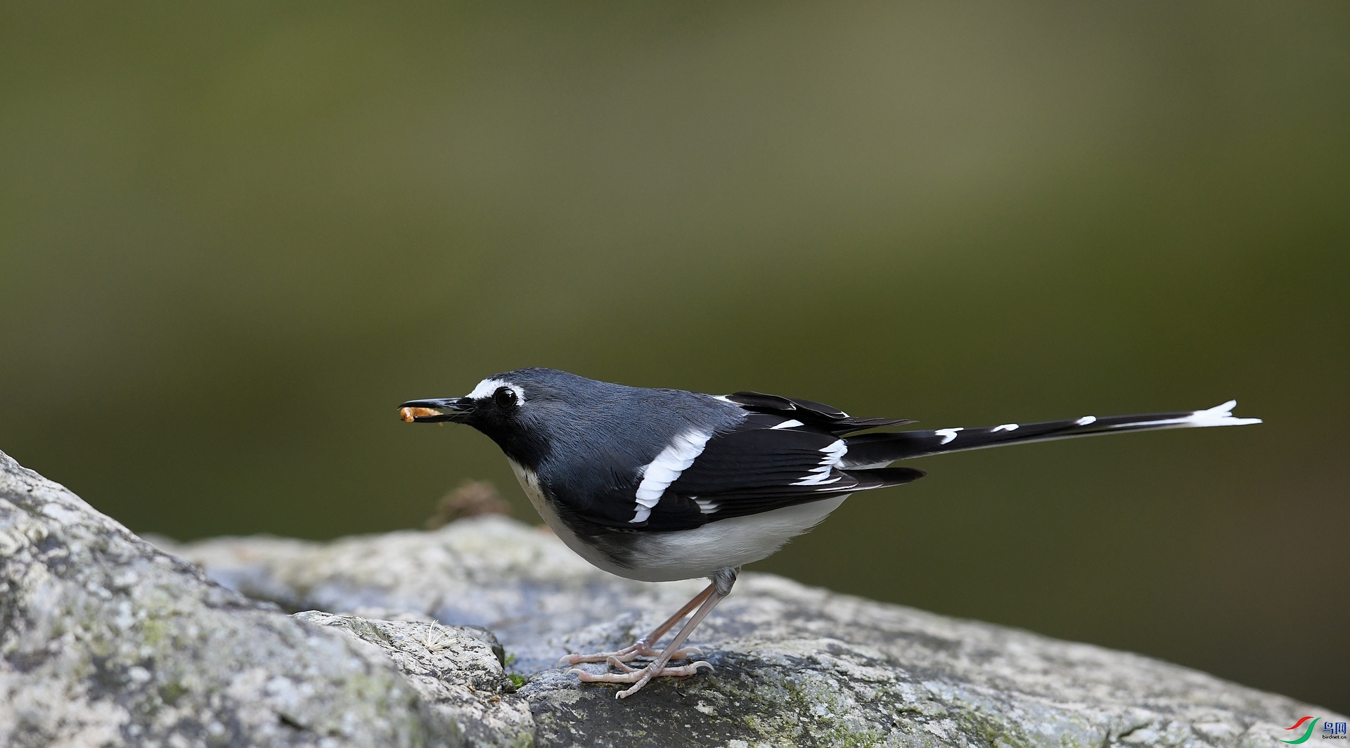 DSC_2161.jpg