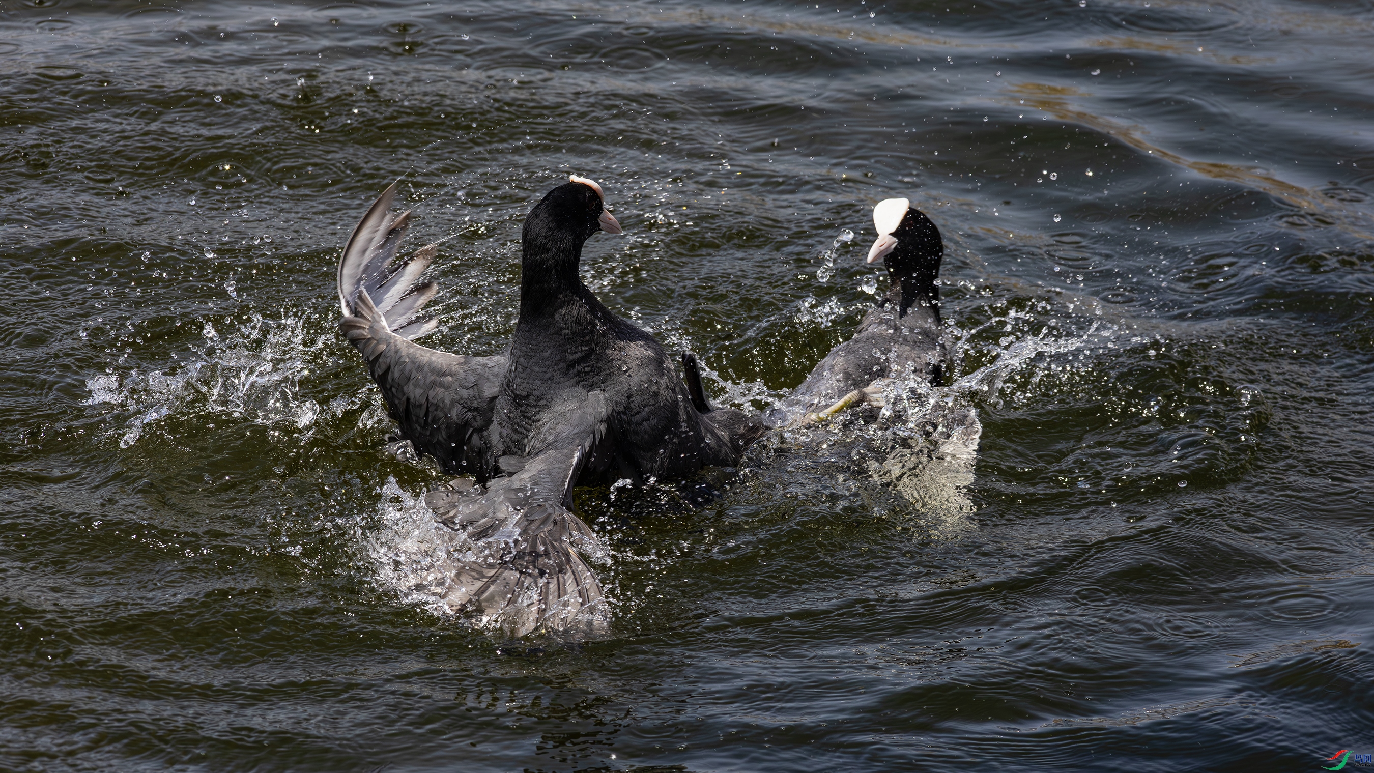 ����һ�� 22.jpg