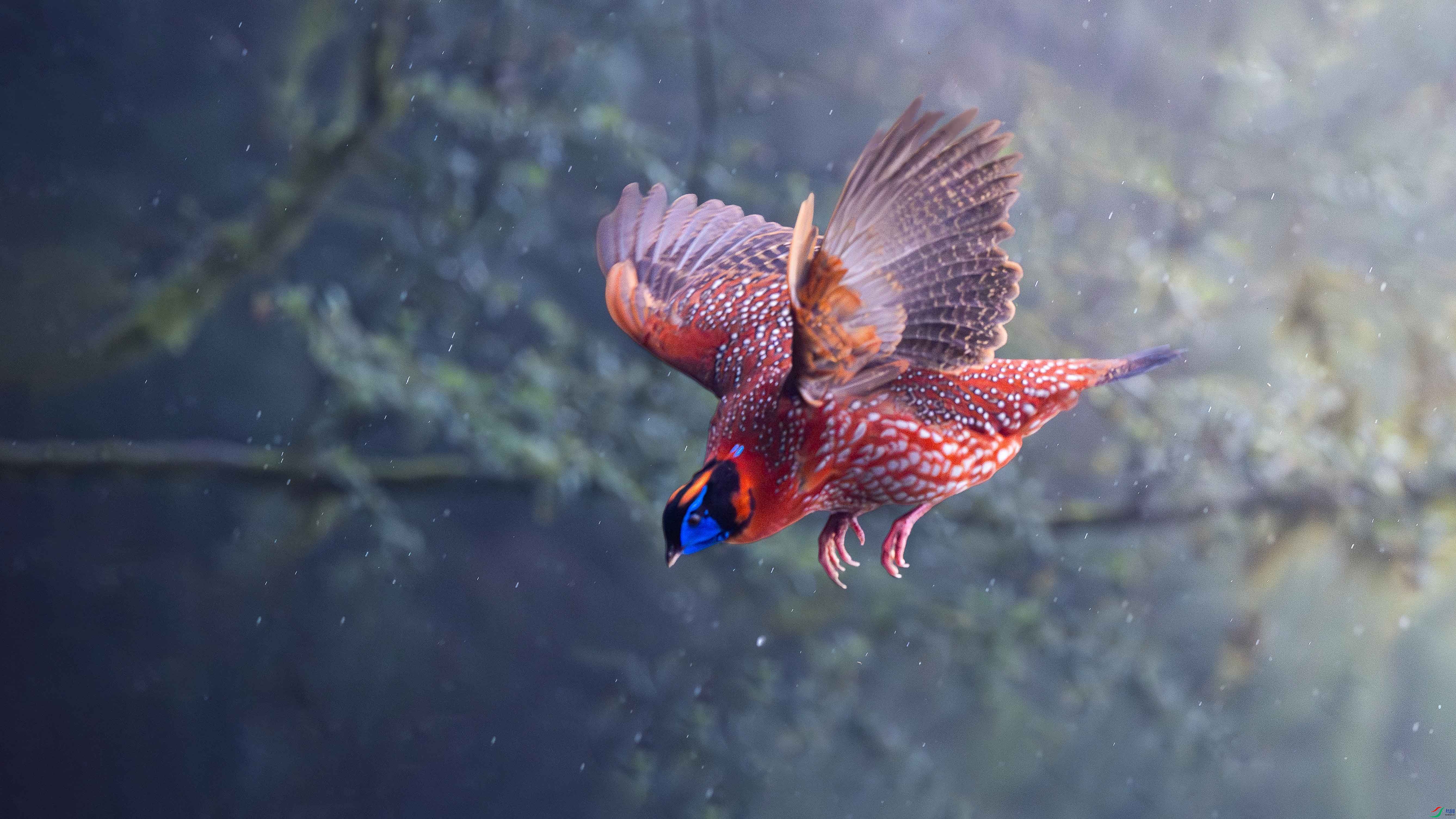 _DSC0690 ���� 2.jpg