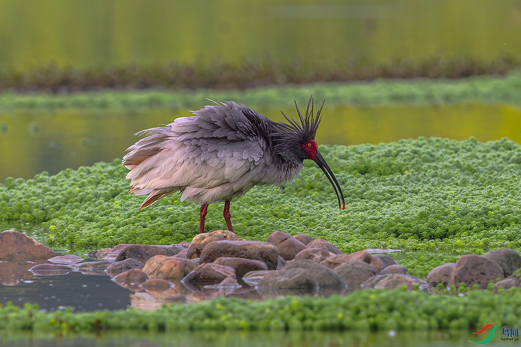 hndzR3260406 (1228)_DxO.jpg