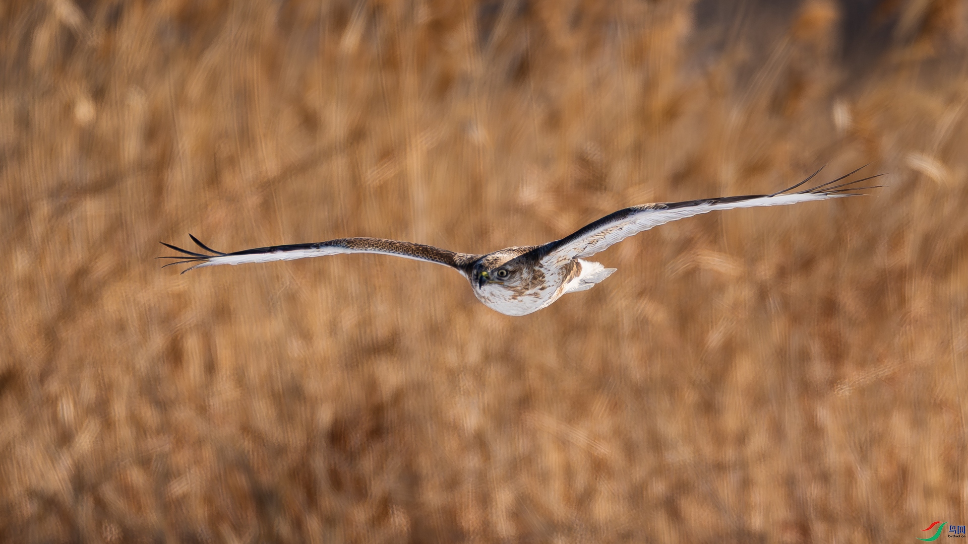 _DSC3484.jpg
