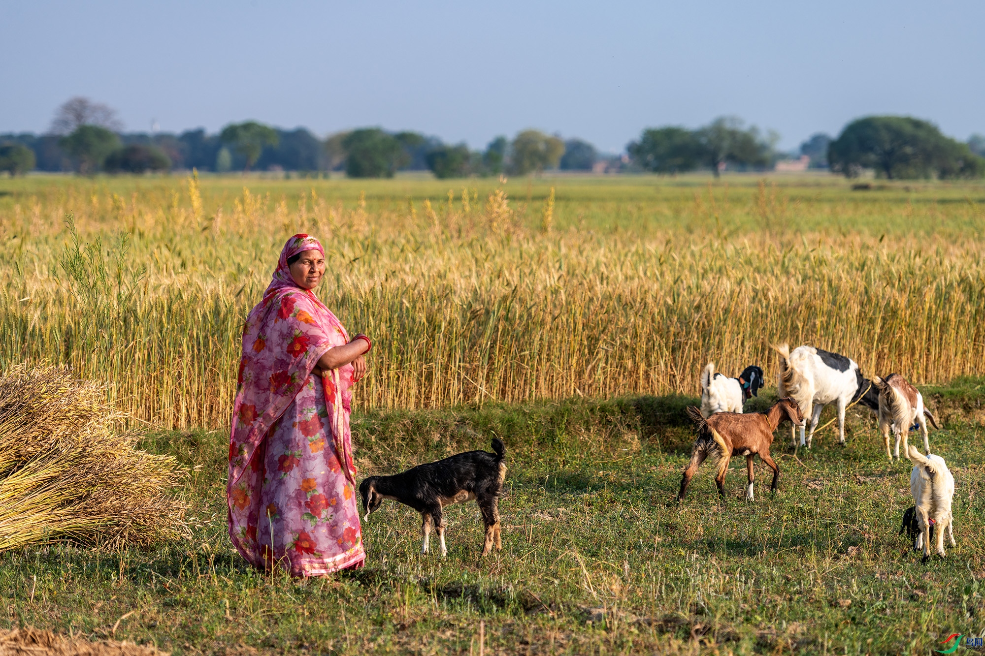 !SC_9329 ����.jpg