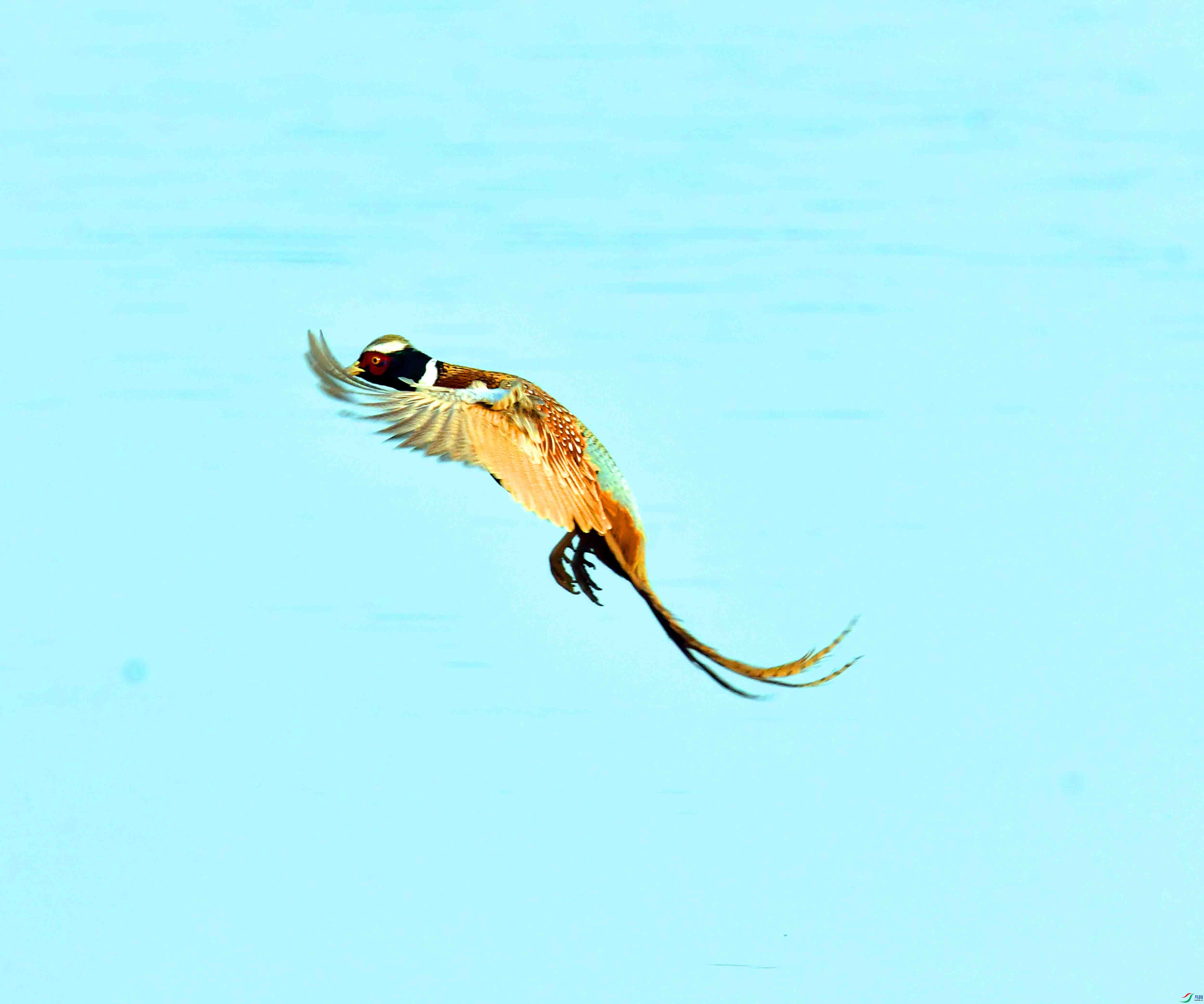 DSC_7413.JPG