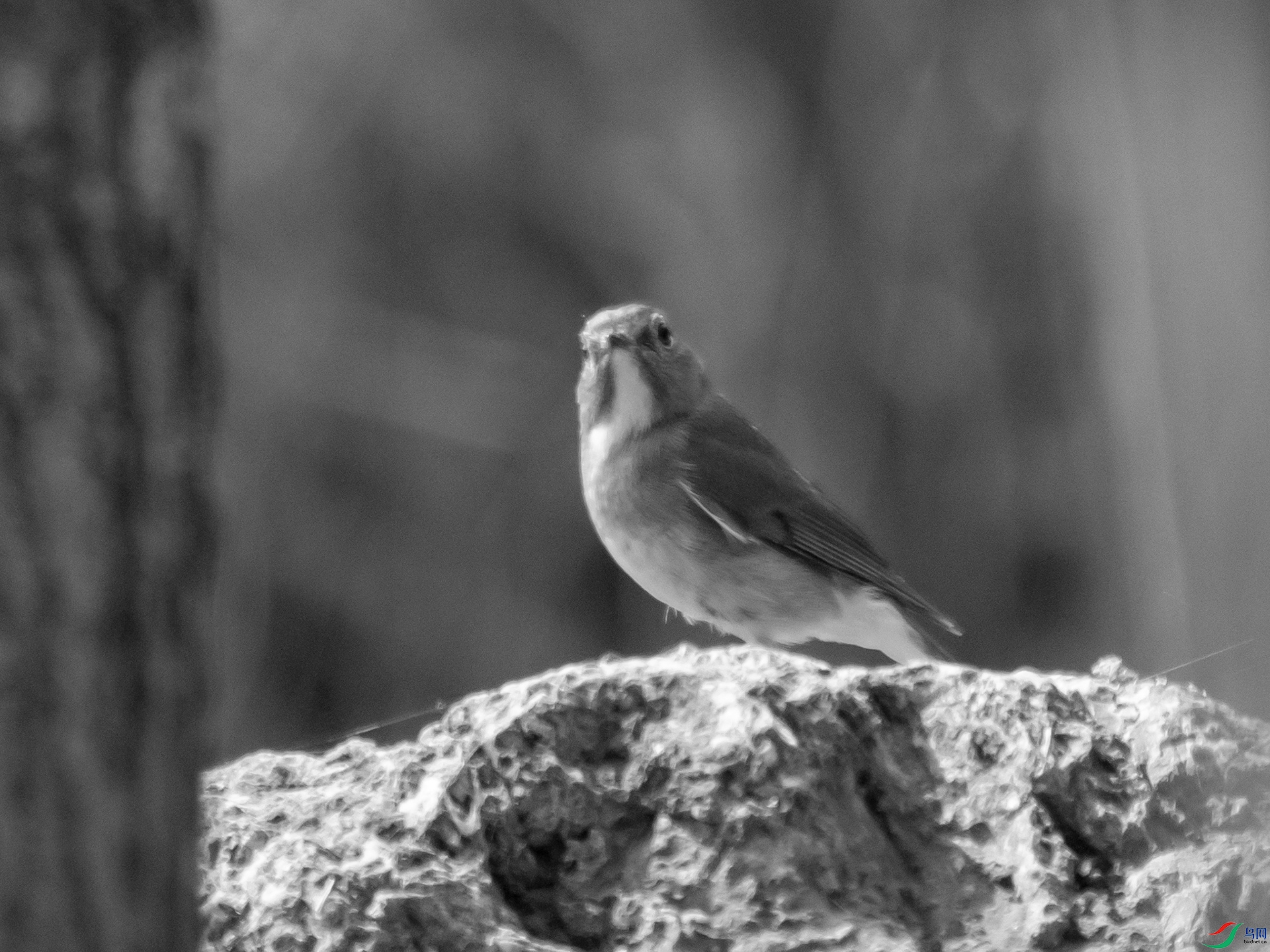 P4024692.jpg