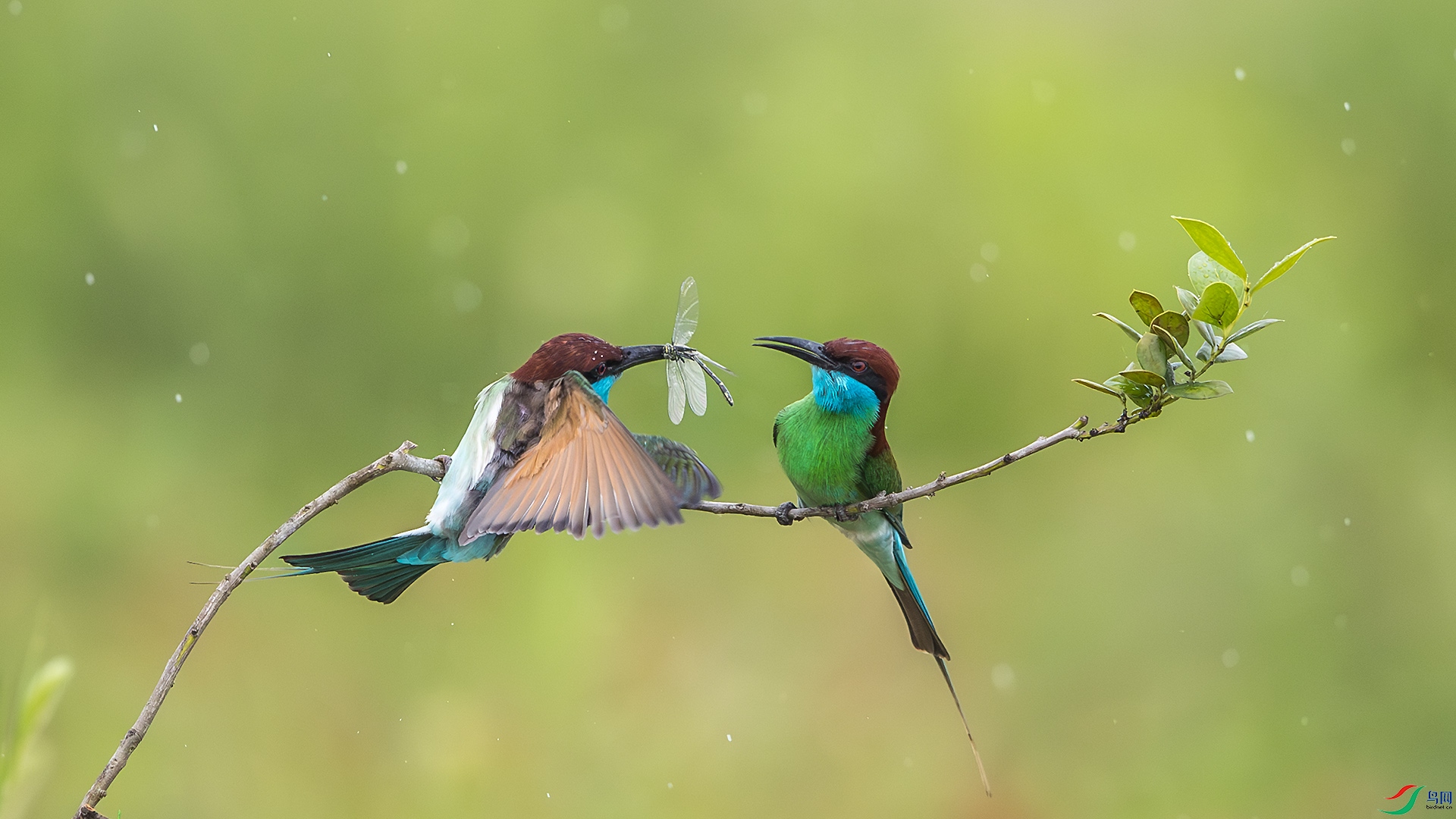 BU3I0027 ����.jpg