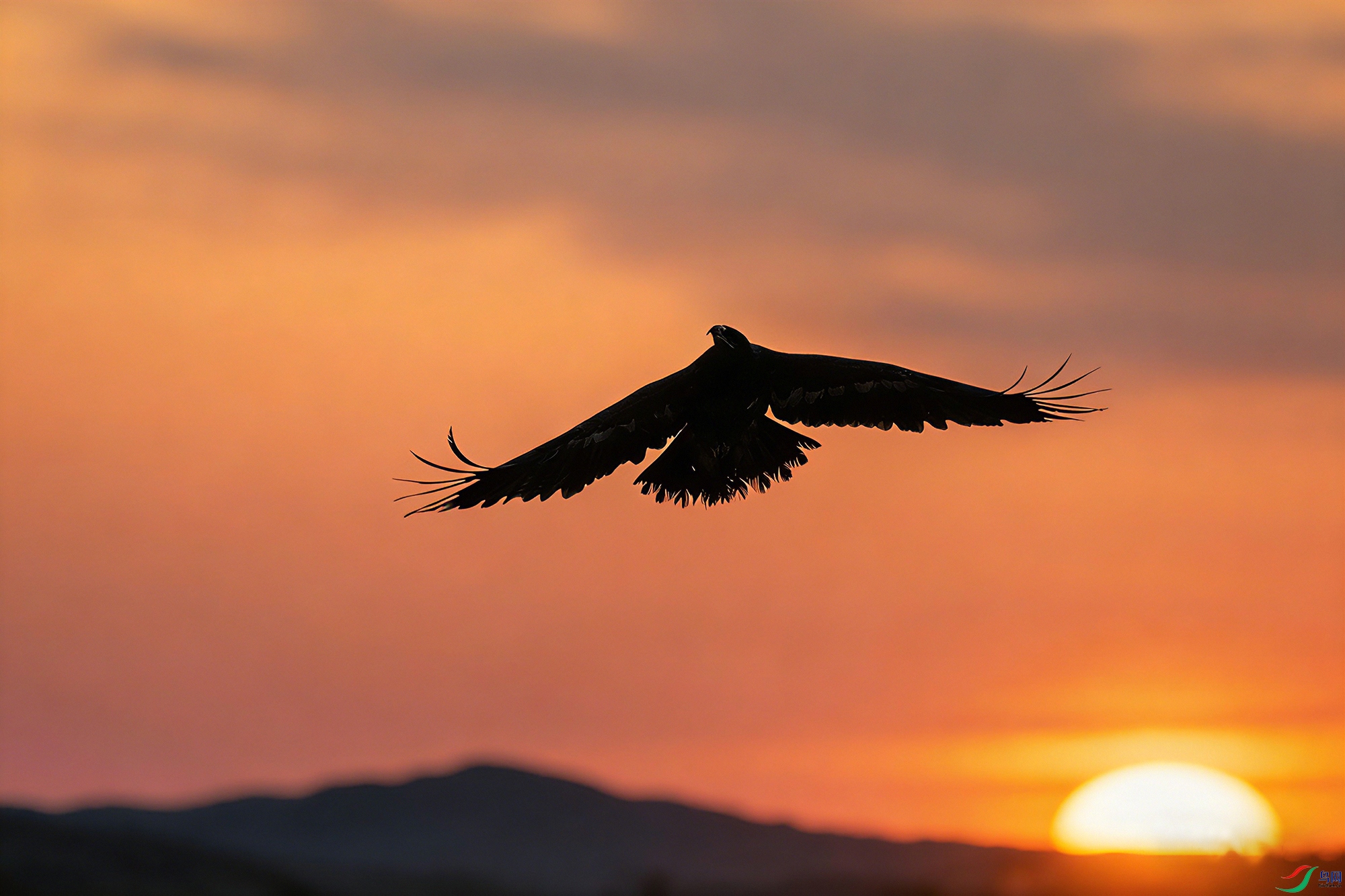 _DSC2667 ����1С.jpg