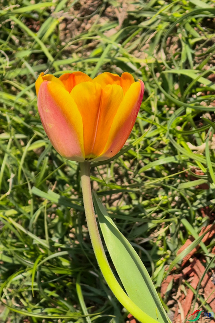 IMG_20260404_113047.jpg