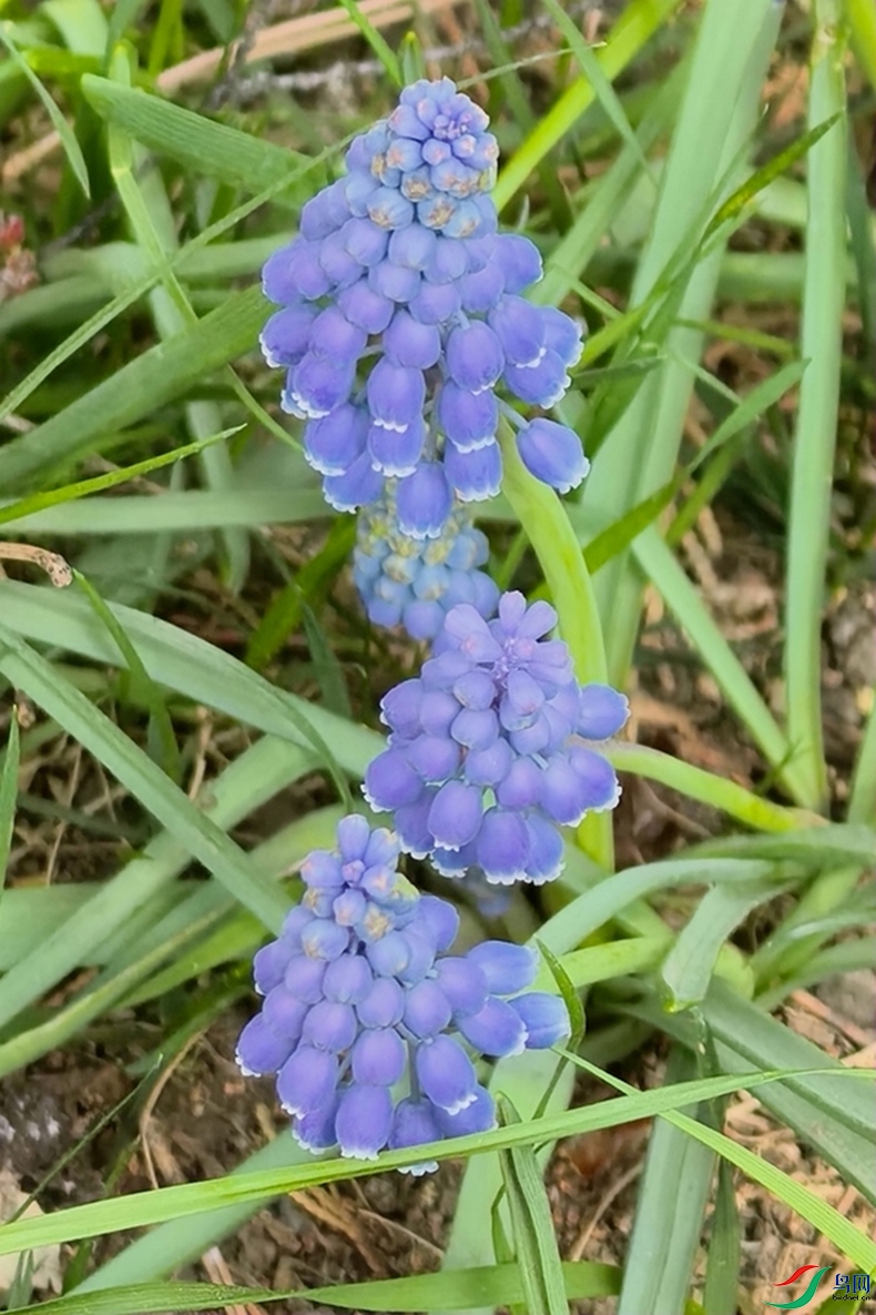 IMG_20260404_113839.jpg