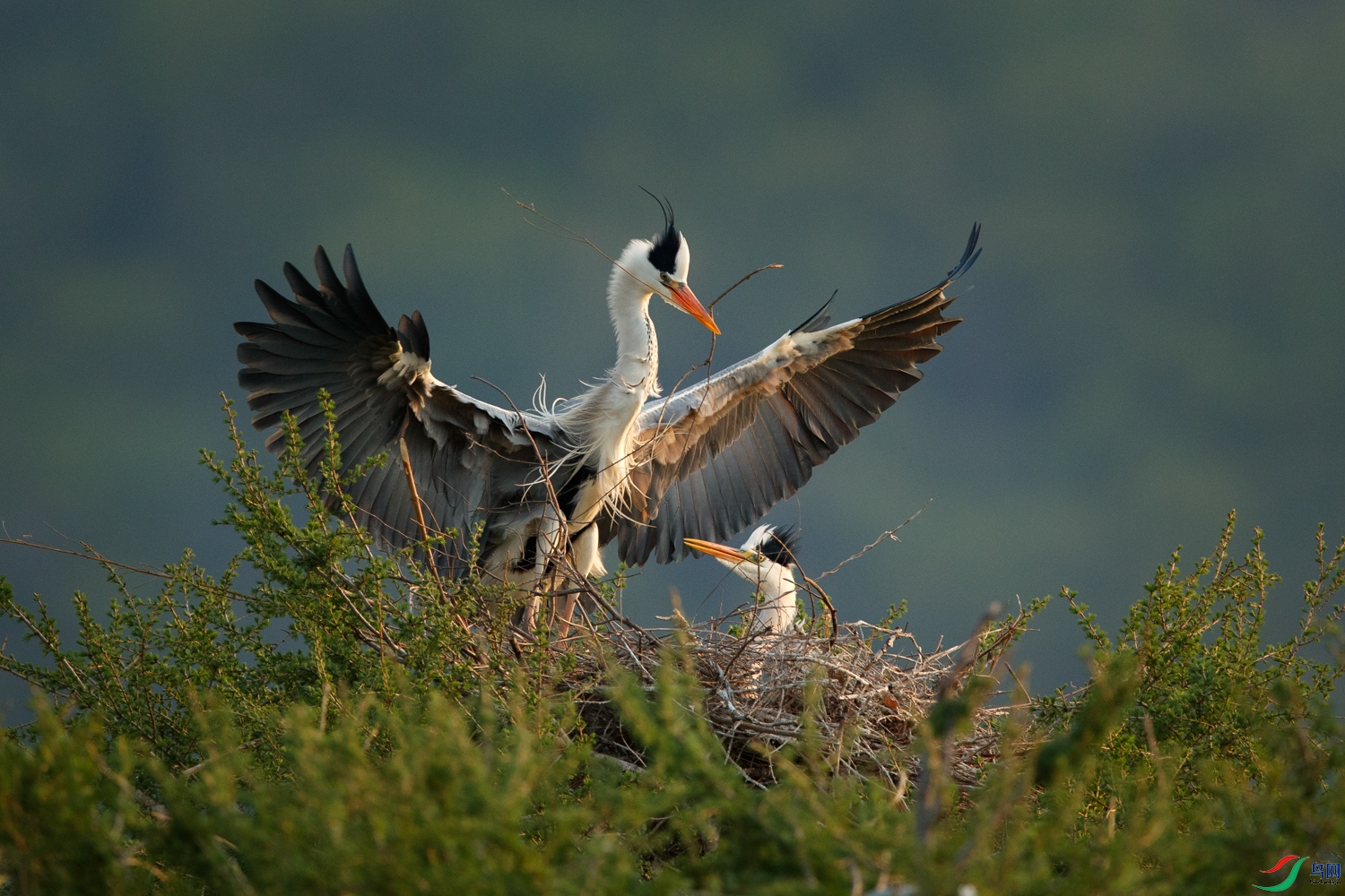 AQ9I0291 ����.jpg