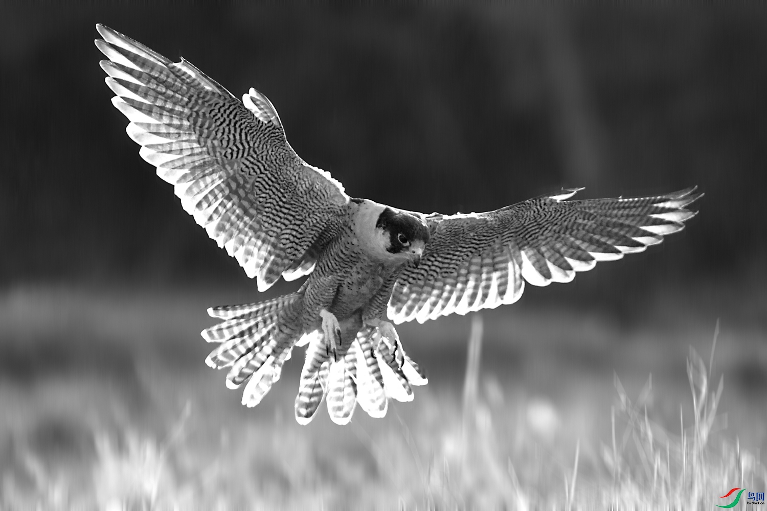 1N5A3774 ����.jpg