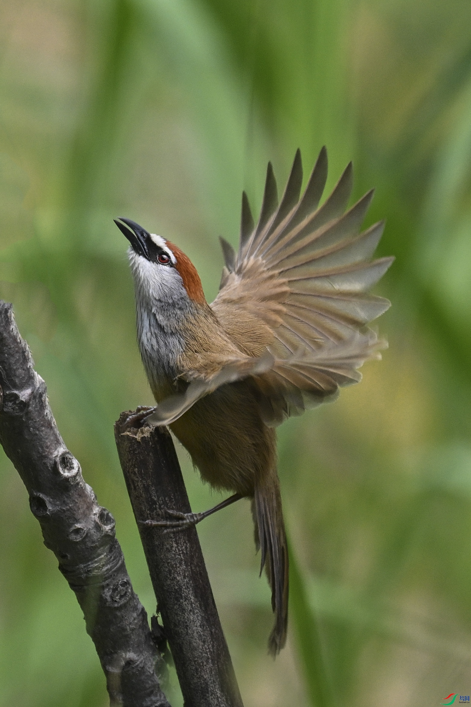 DSC_8012-2.jpg