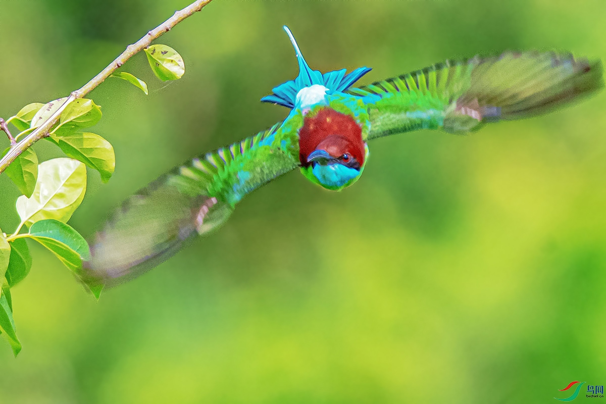 DSC_0418-����ǿ.jpg