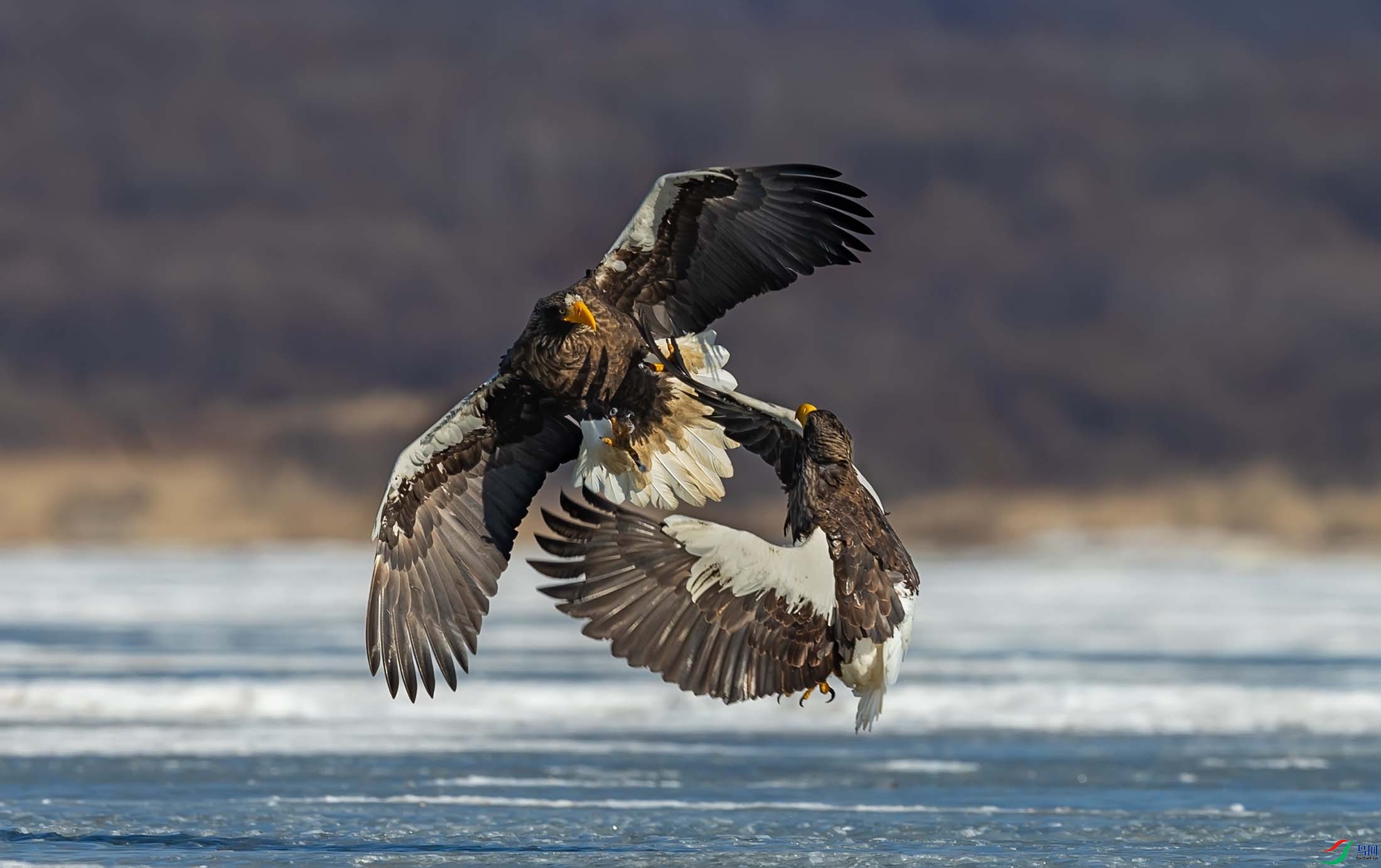 ��ͷ����