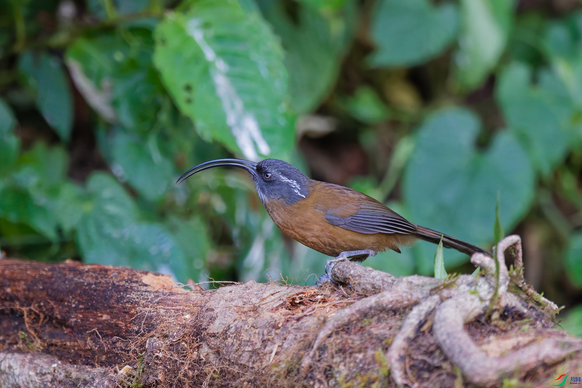 1DSC_2990_DxO_DxO.jpga.jpg