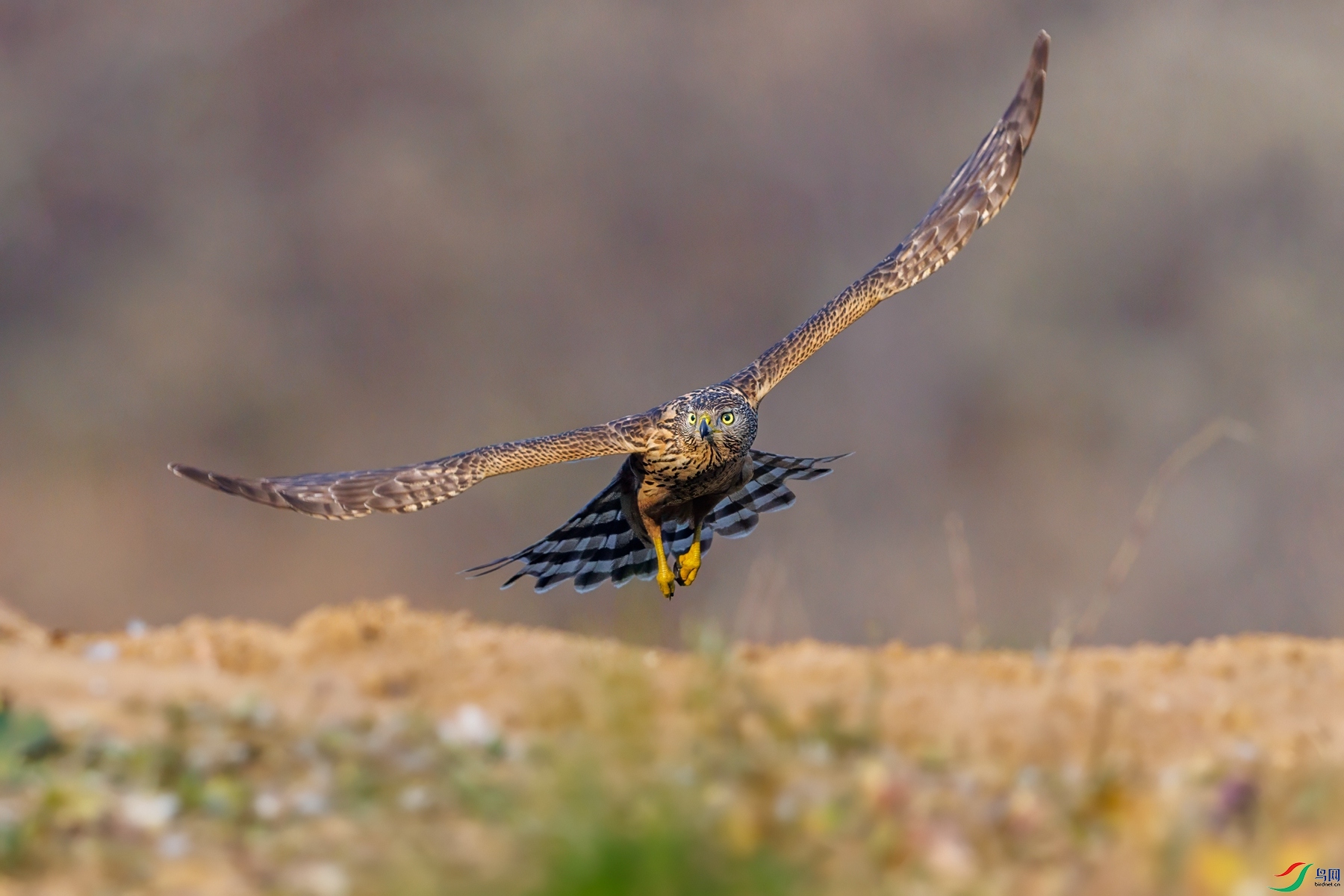 SHU_3290 ����1_����.jpg