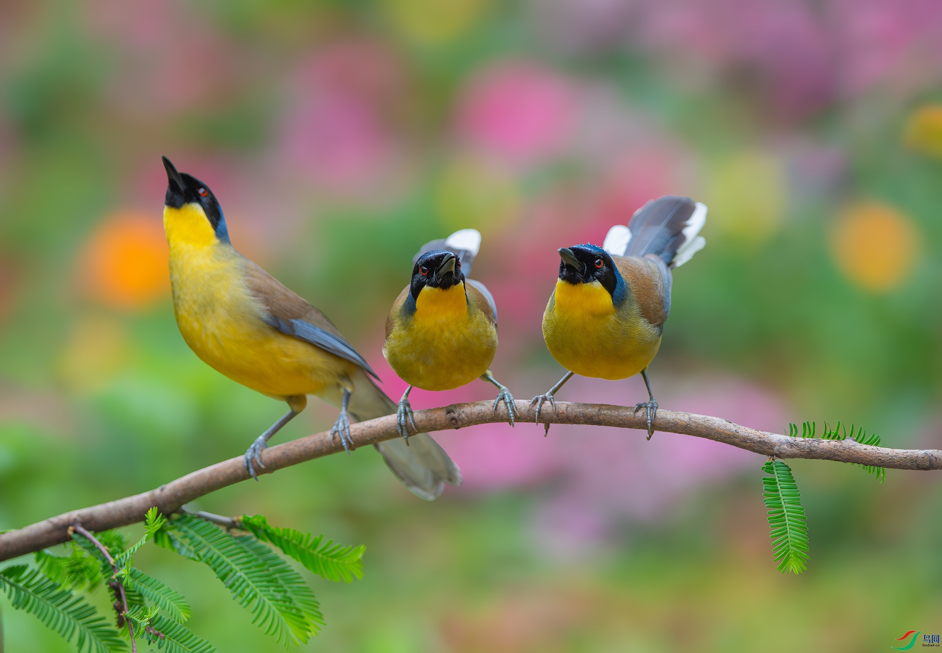 DSC_4686-����ǿ-NR ���� 2.jpg