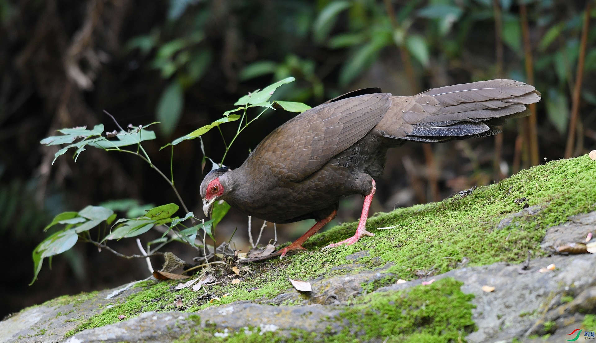 DSC_2207.jpg