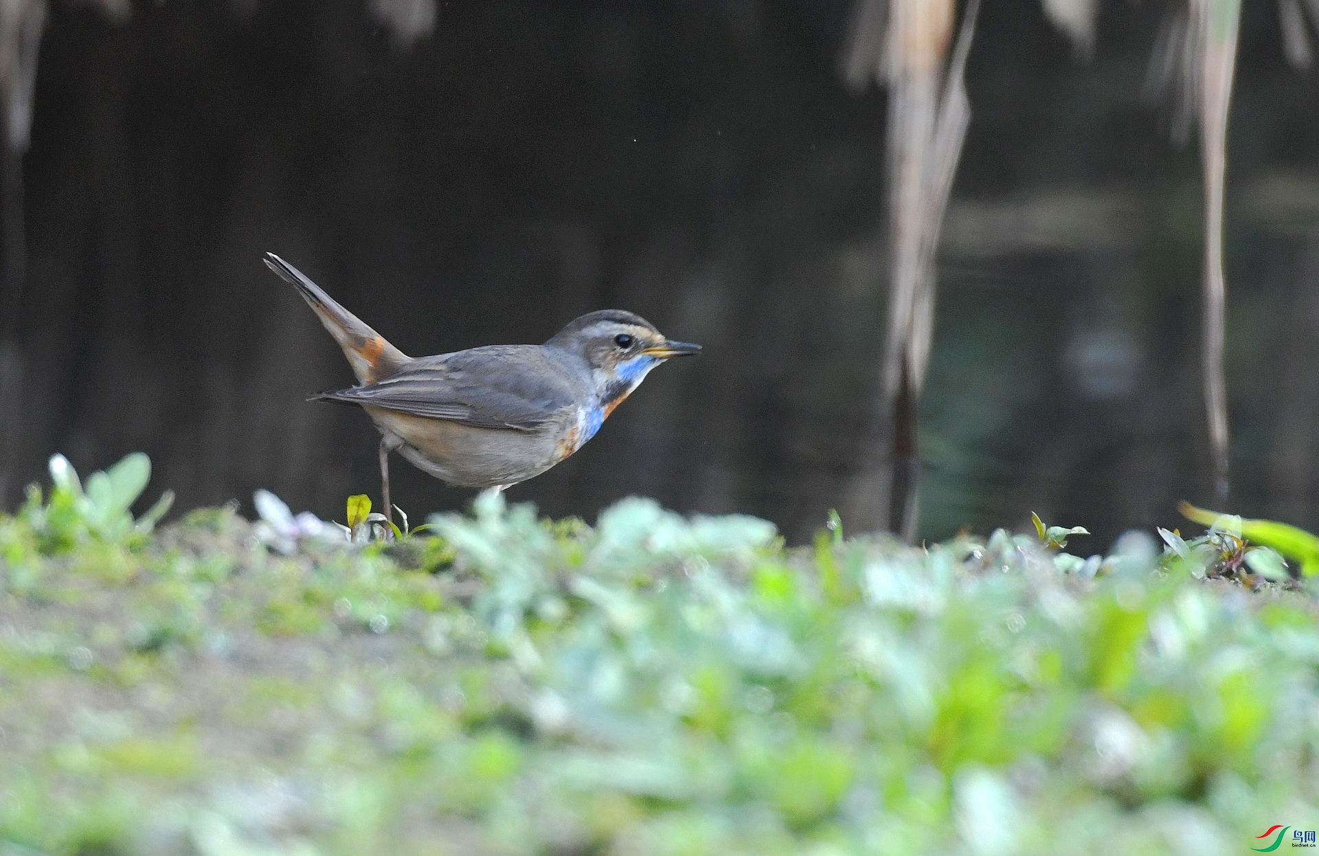 DSC_9256.jpg