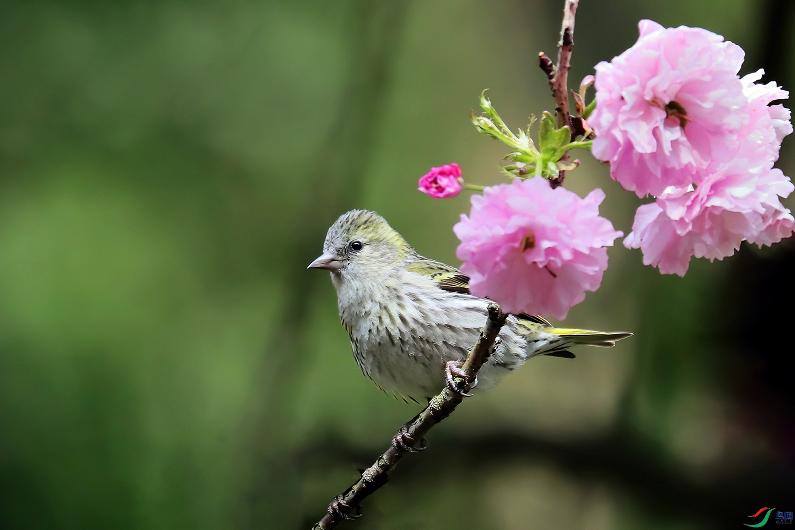 IMG_3456ccx.jpg