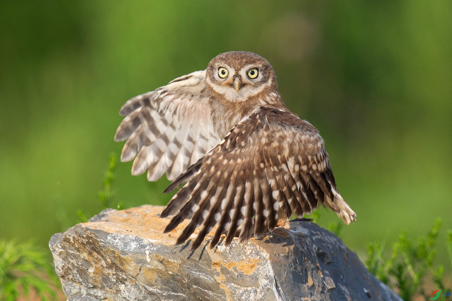 _MG_7476 ����.jpg