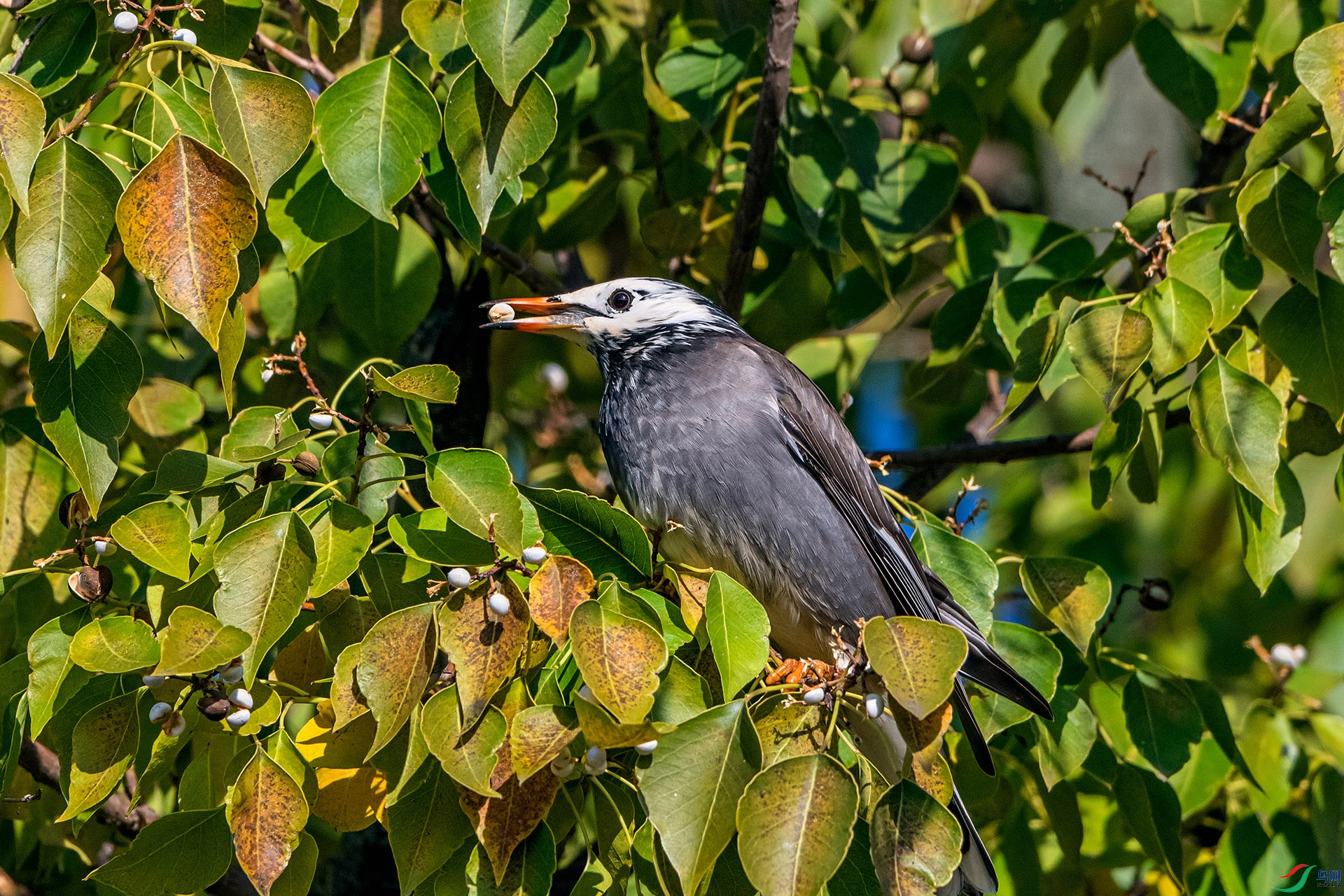 _AUU1572 �����(25.11.27).jpg