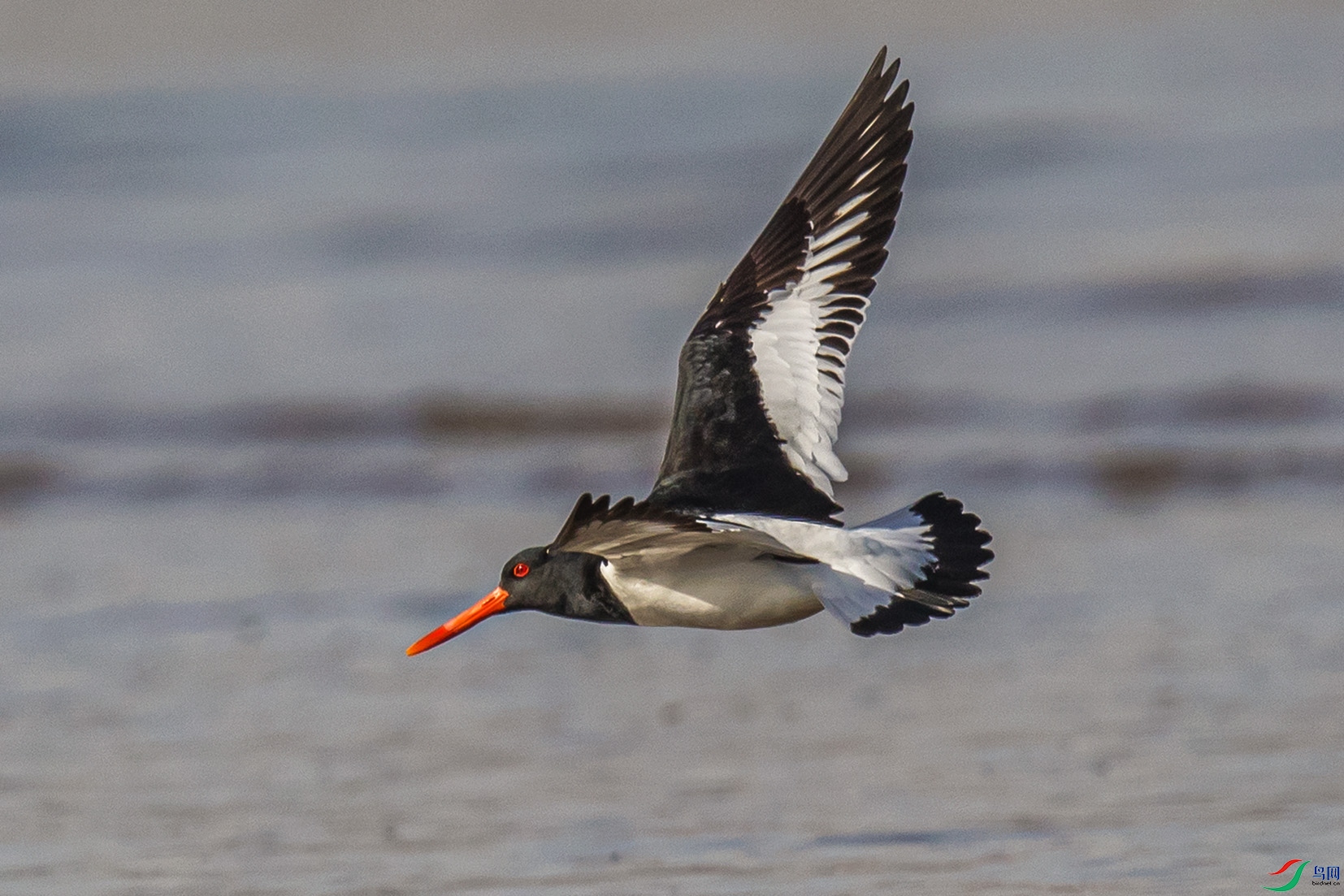 _90I5516 ����.jpg