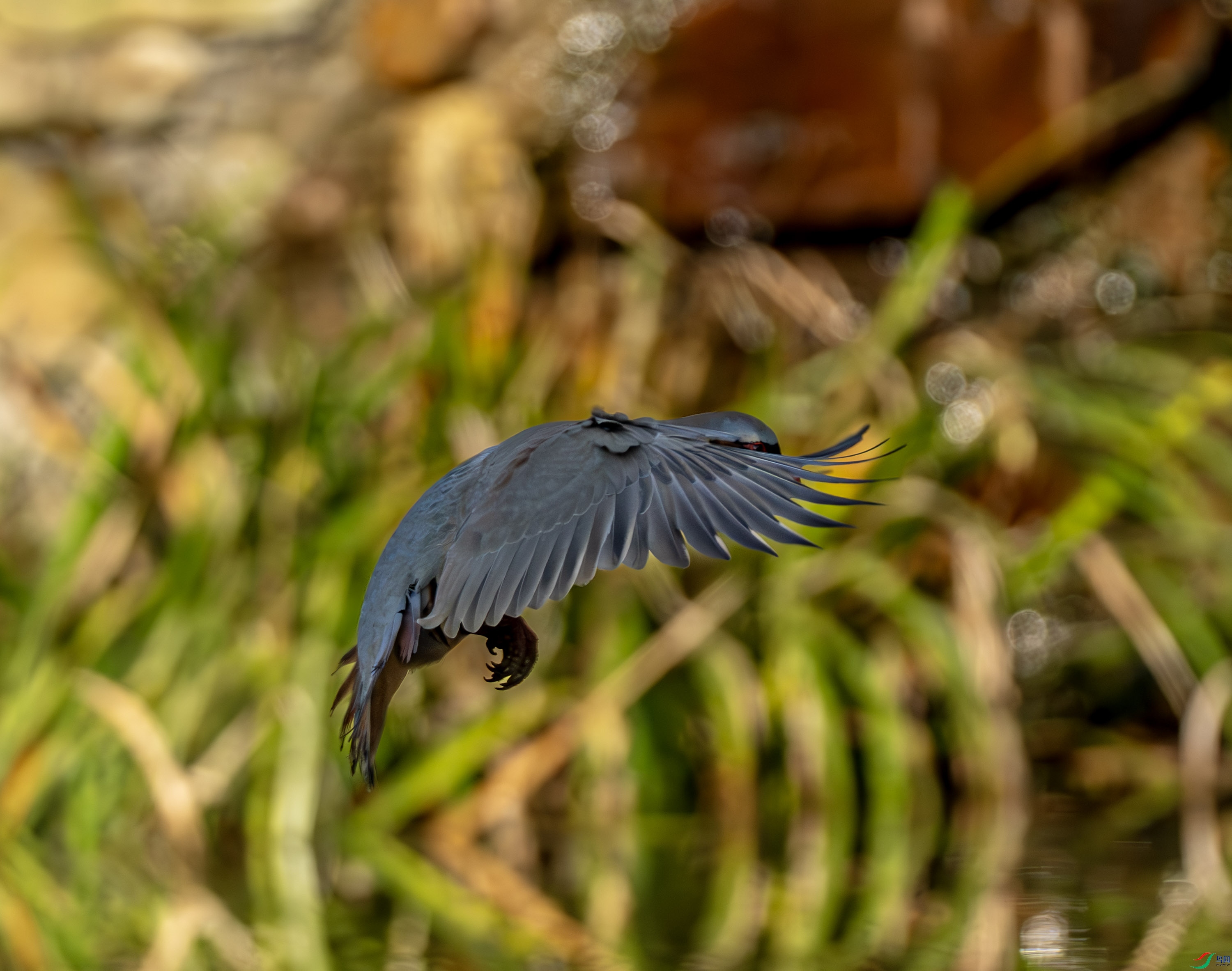 ʯ��-01-7.jpg