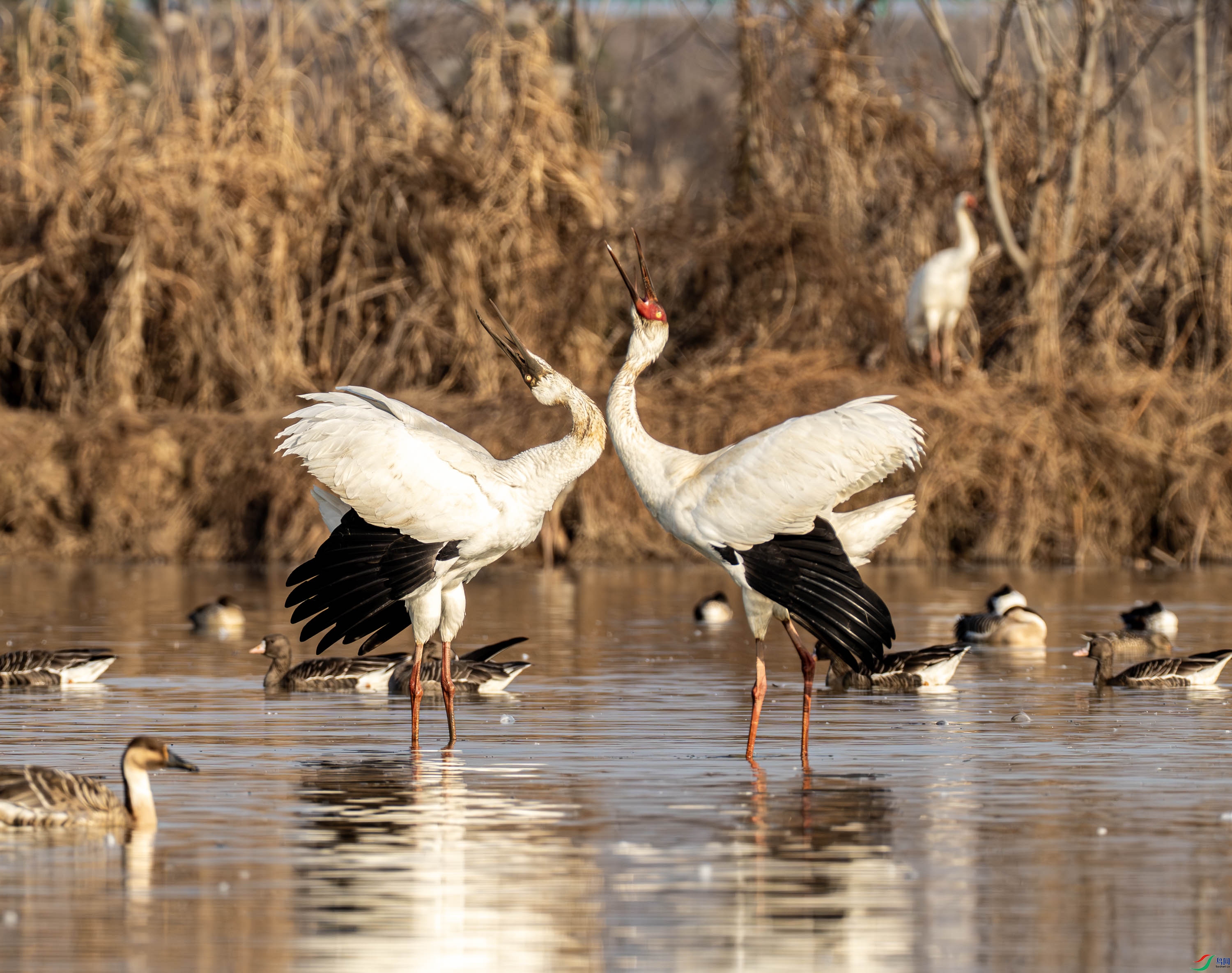 �׺�-01 (5 - 15).jpg