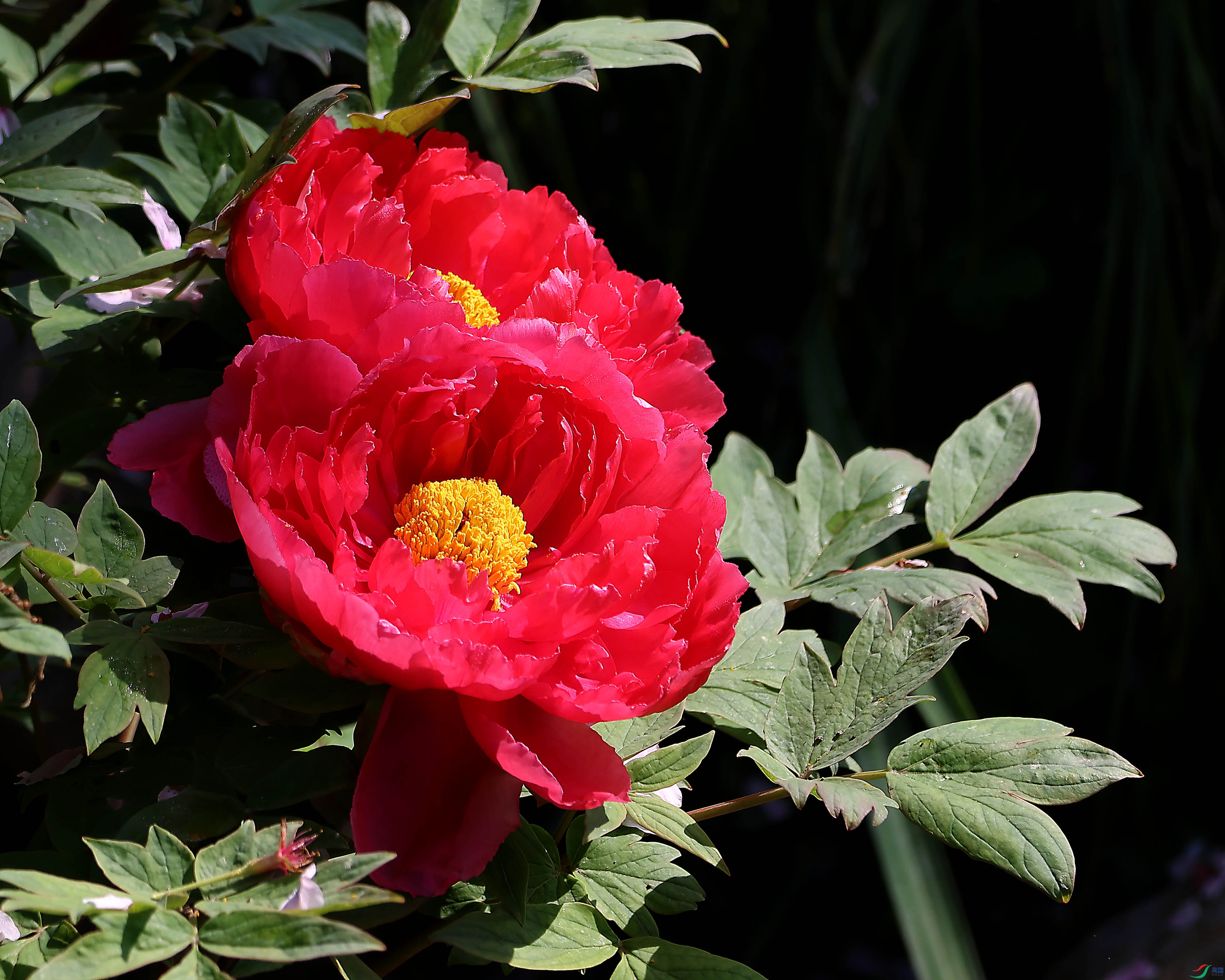 2G9A3923.JPG