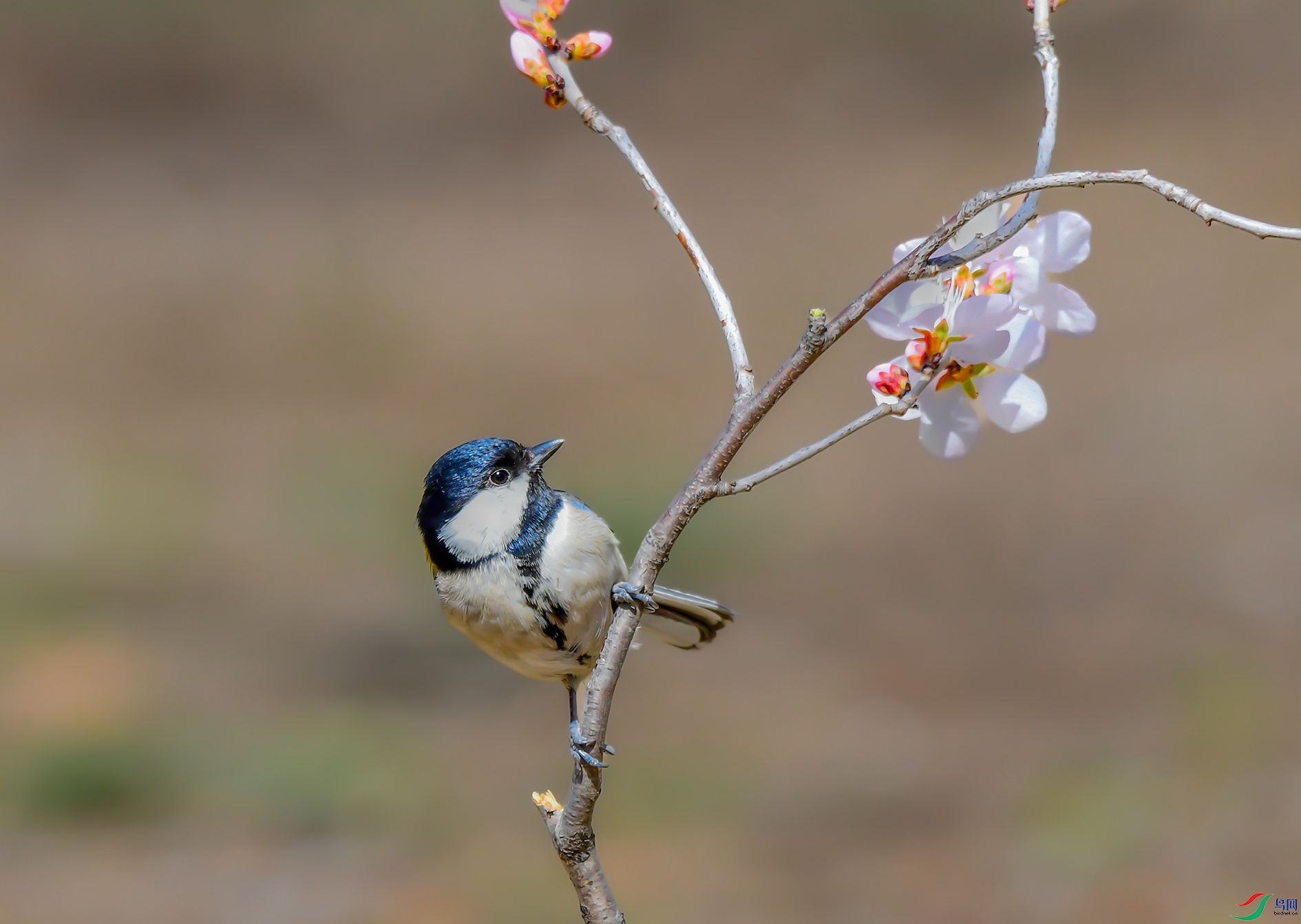 DSC_1306_��ͼ�� ����.jpg