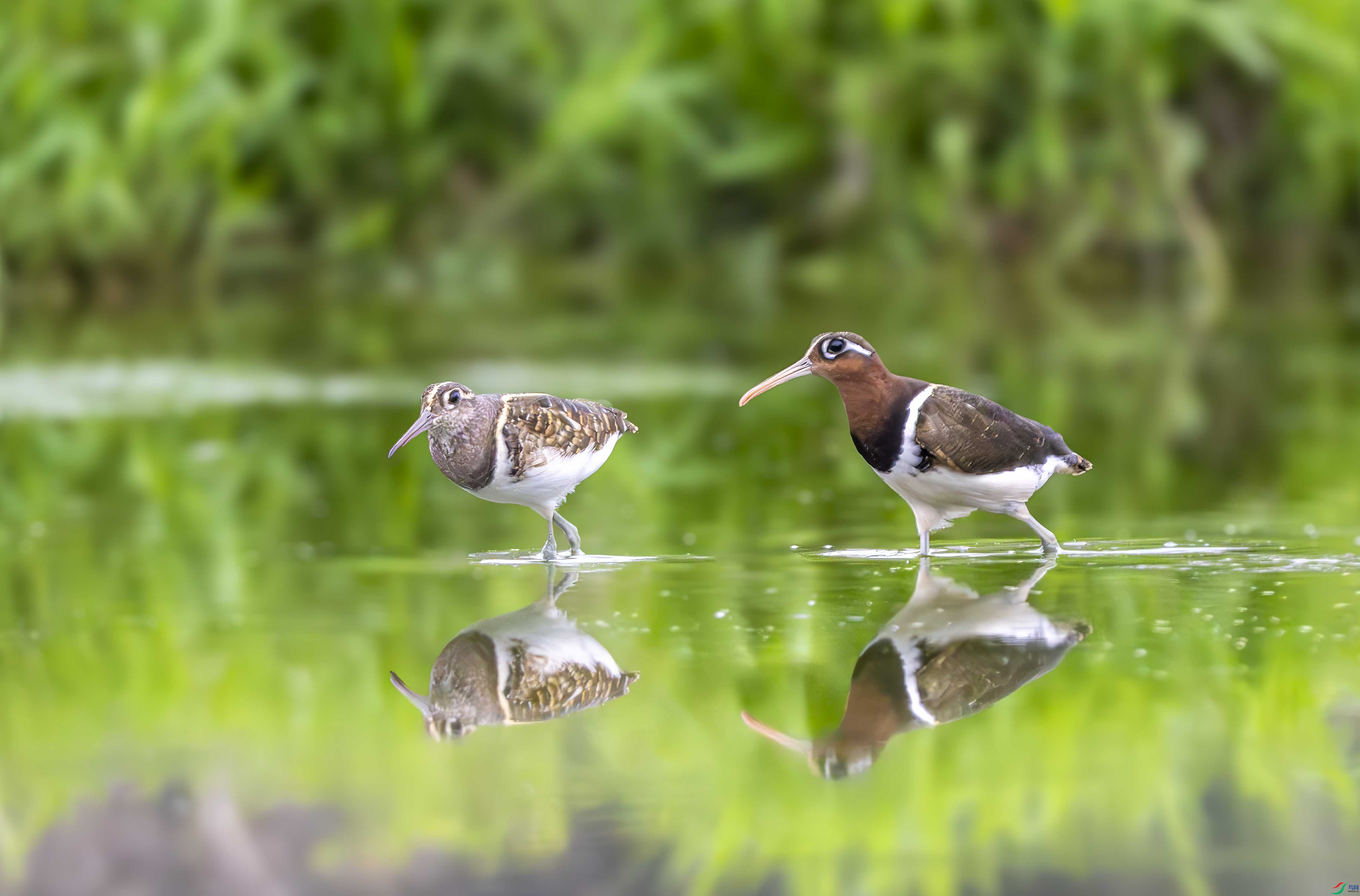 _DSC7998 ����.jpg