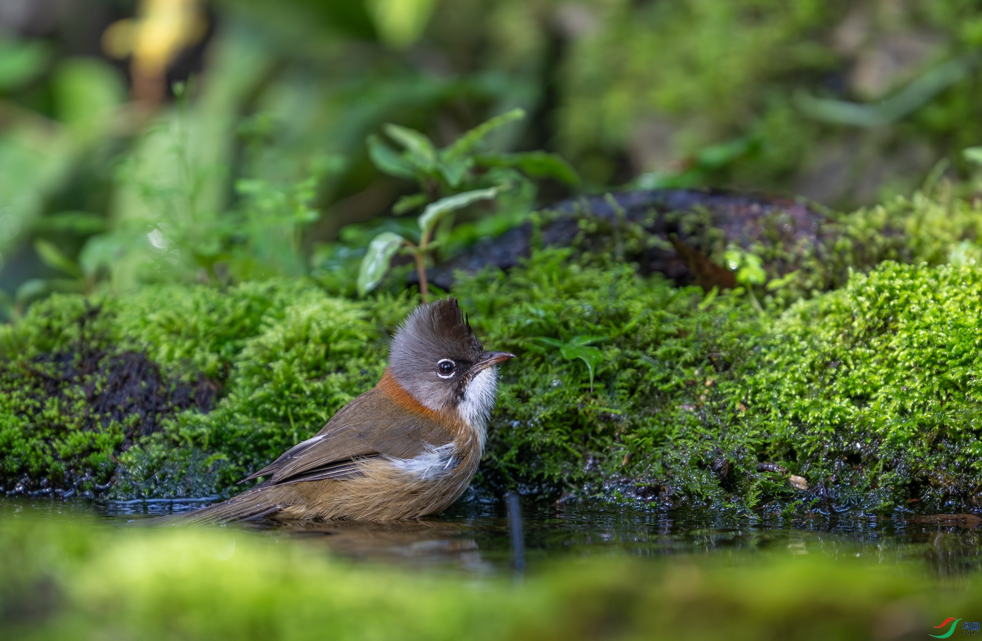 DSC_7157-1.jpg