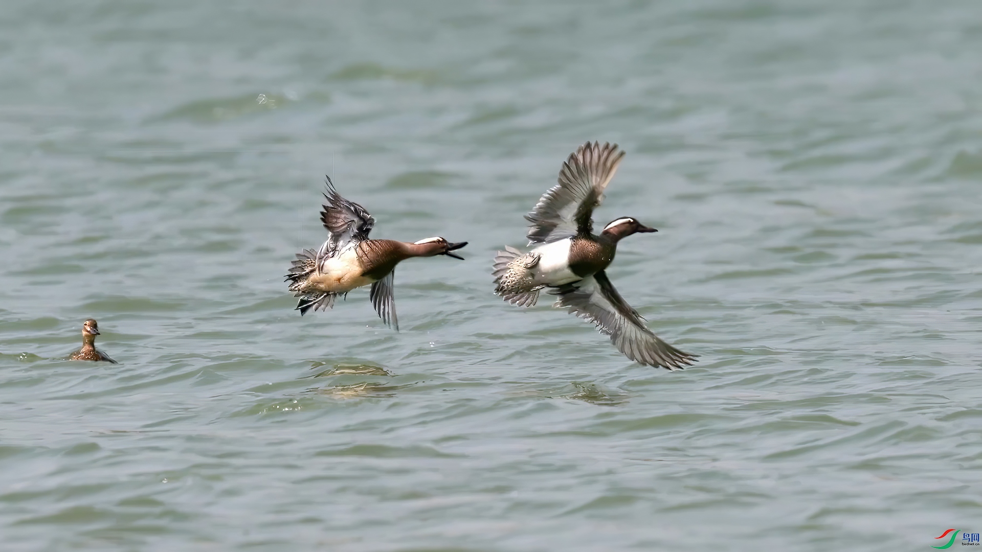 ��֡ 2026-04-08 173937_1.1.jpg