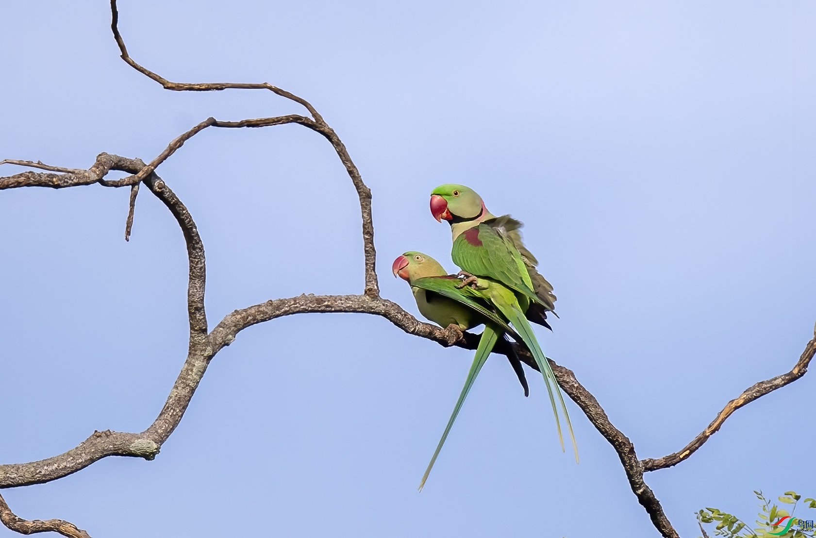 AC3I3608 ����.jpg