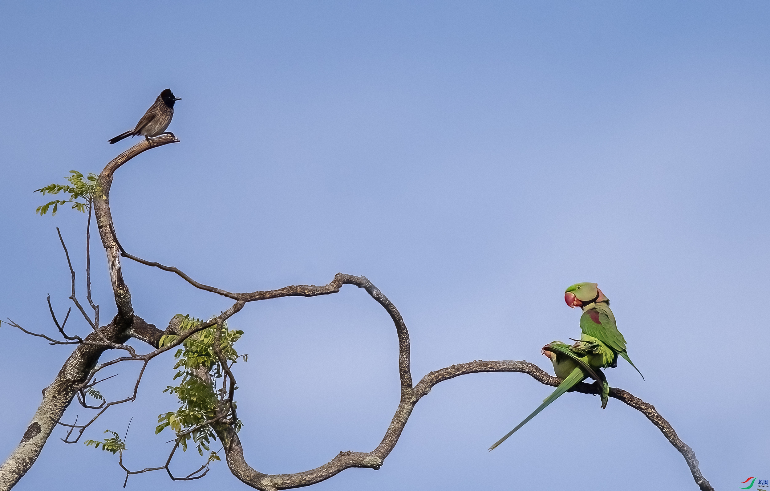 AC3I3678 ����.jpg