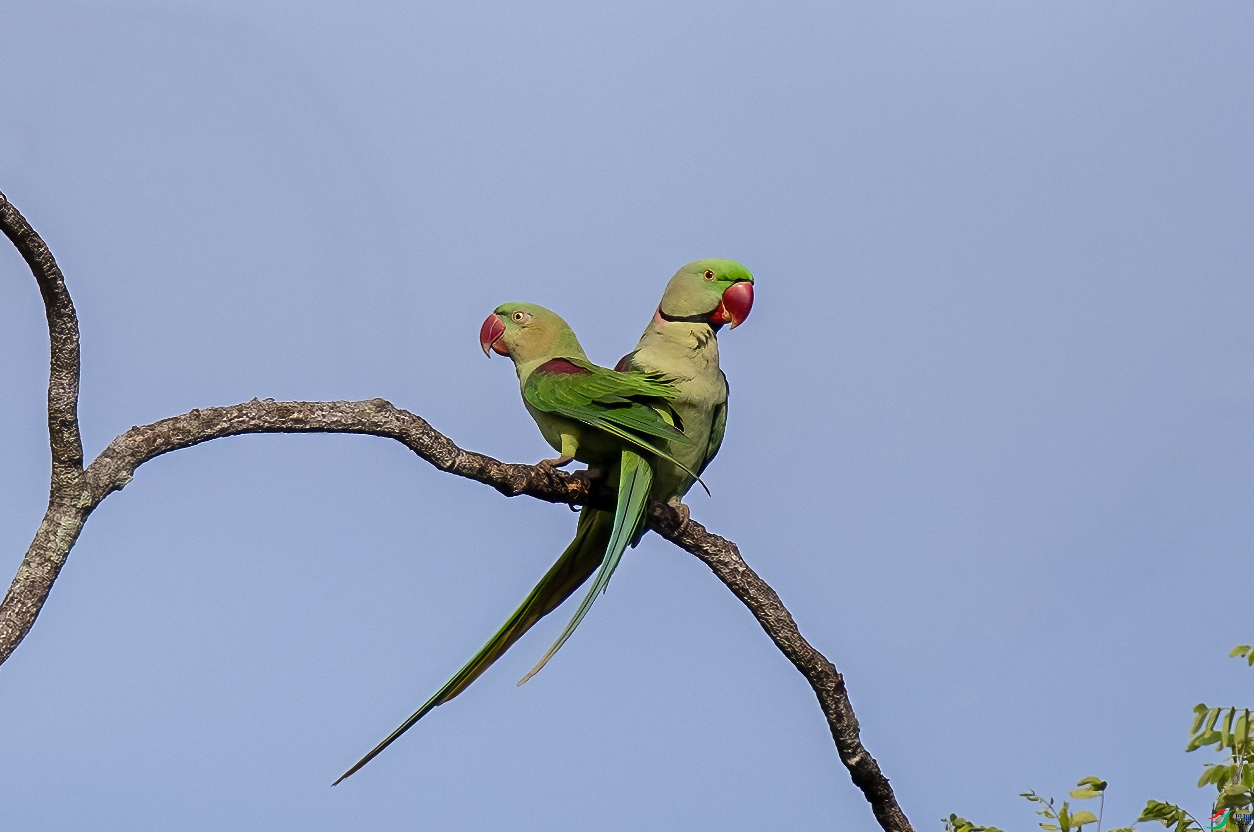 AC3I3548 ����.jpg