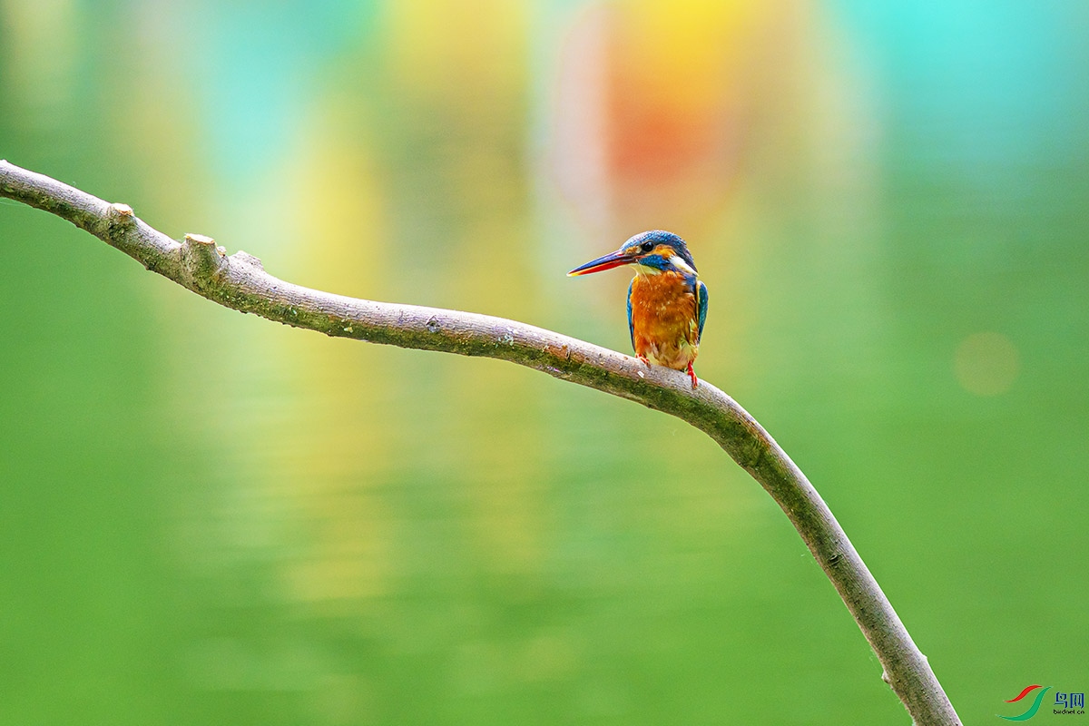 DSC_9931-����ǿ.jpg