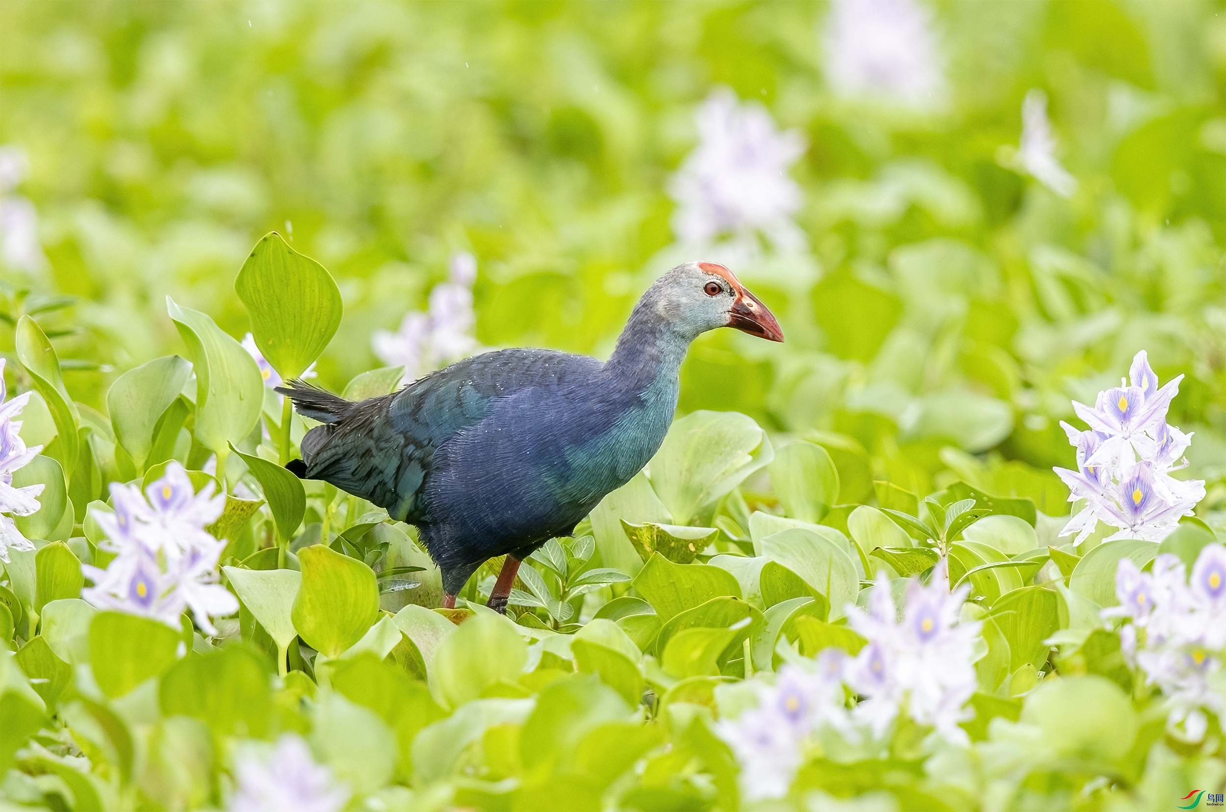 AC3I5898 ����.jpg