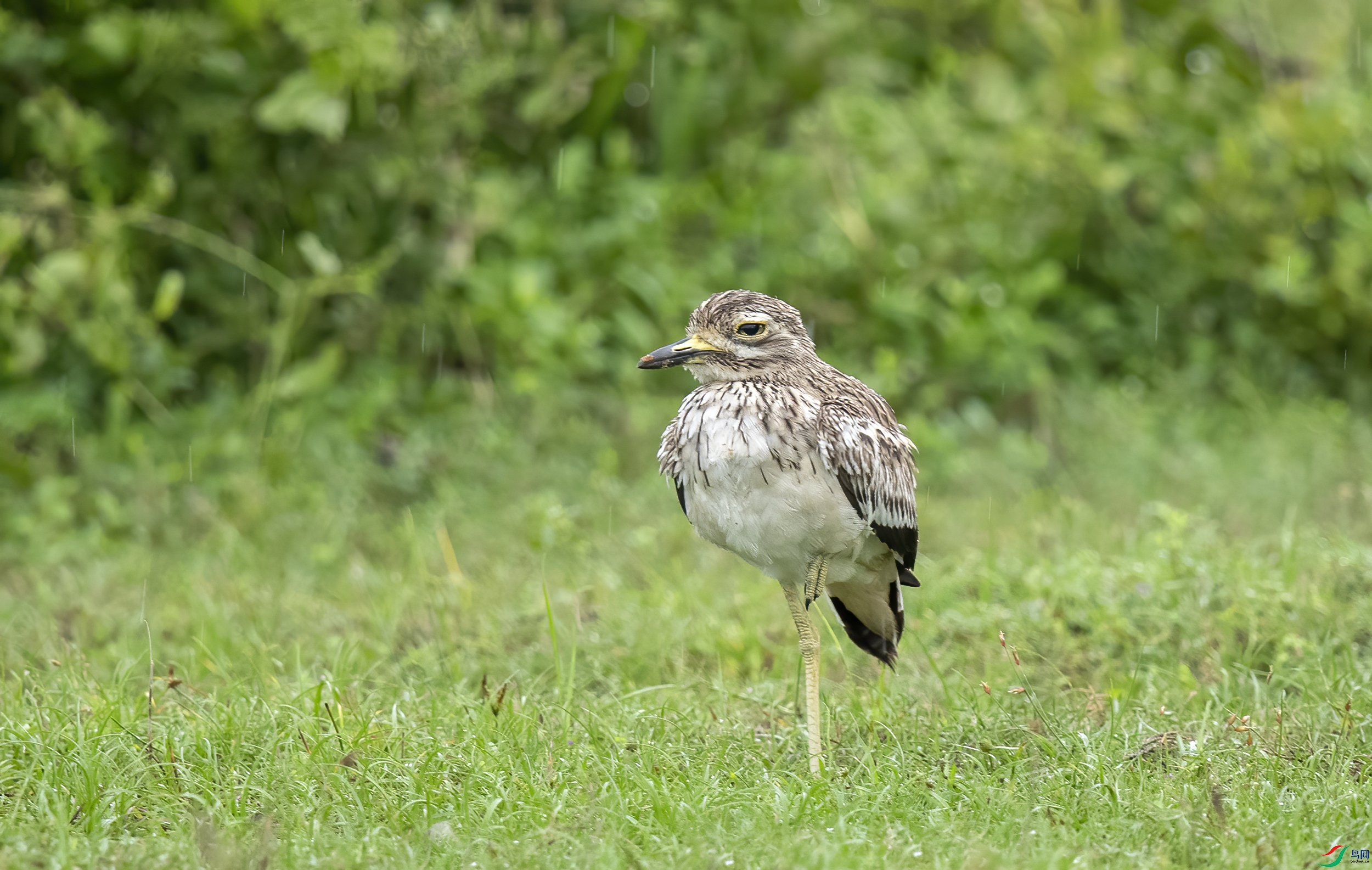 AC3I5591 ����.jpg