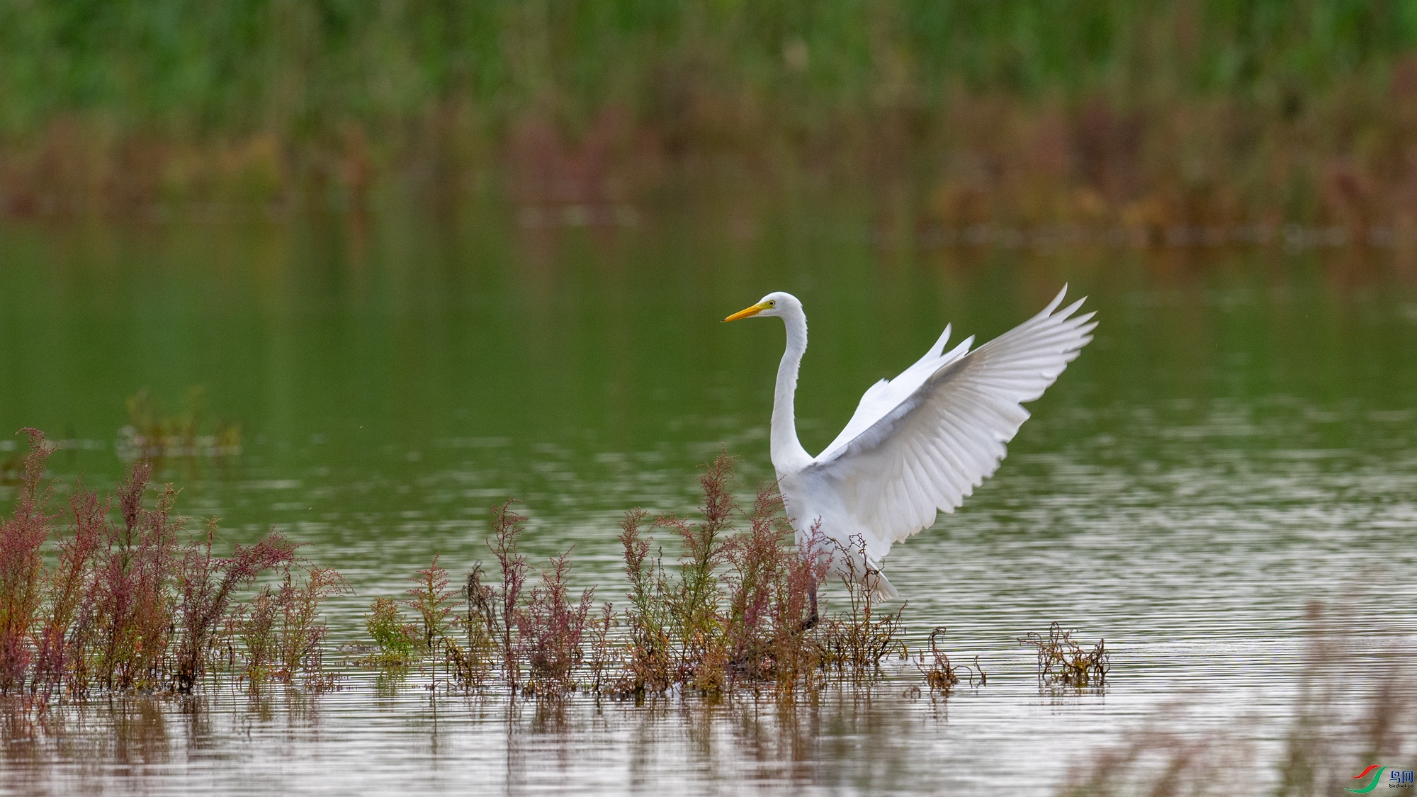 DSC_3744.jpg